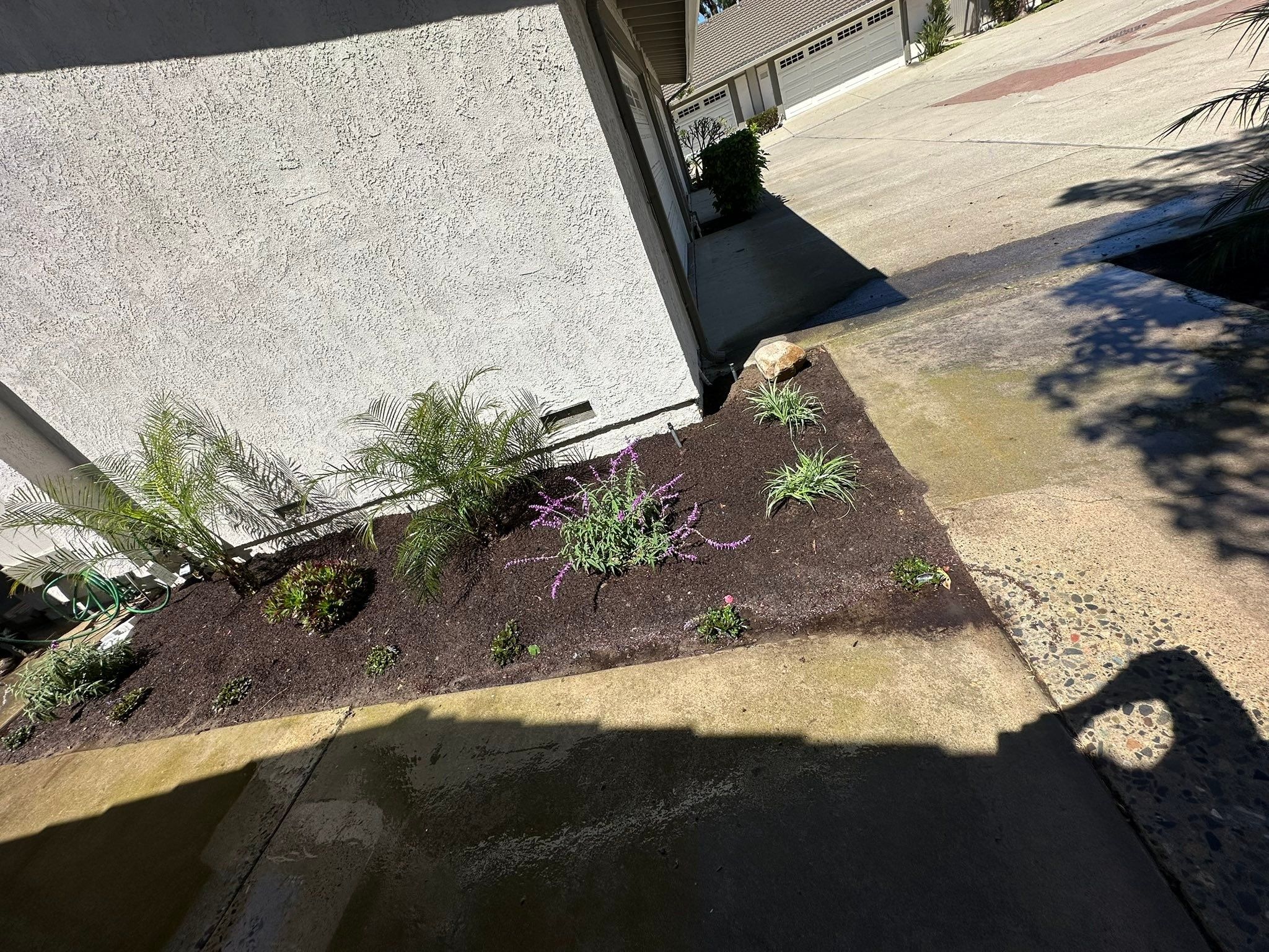  for Benito's Gardening and Tree Service  in San Juan Capistrano, CA