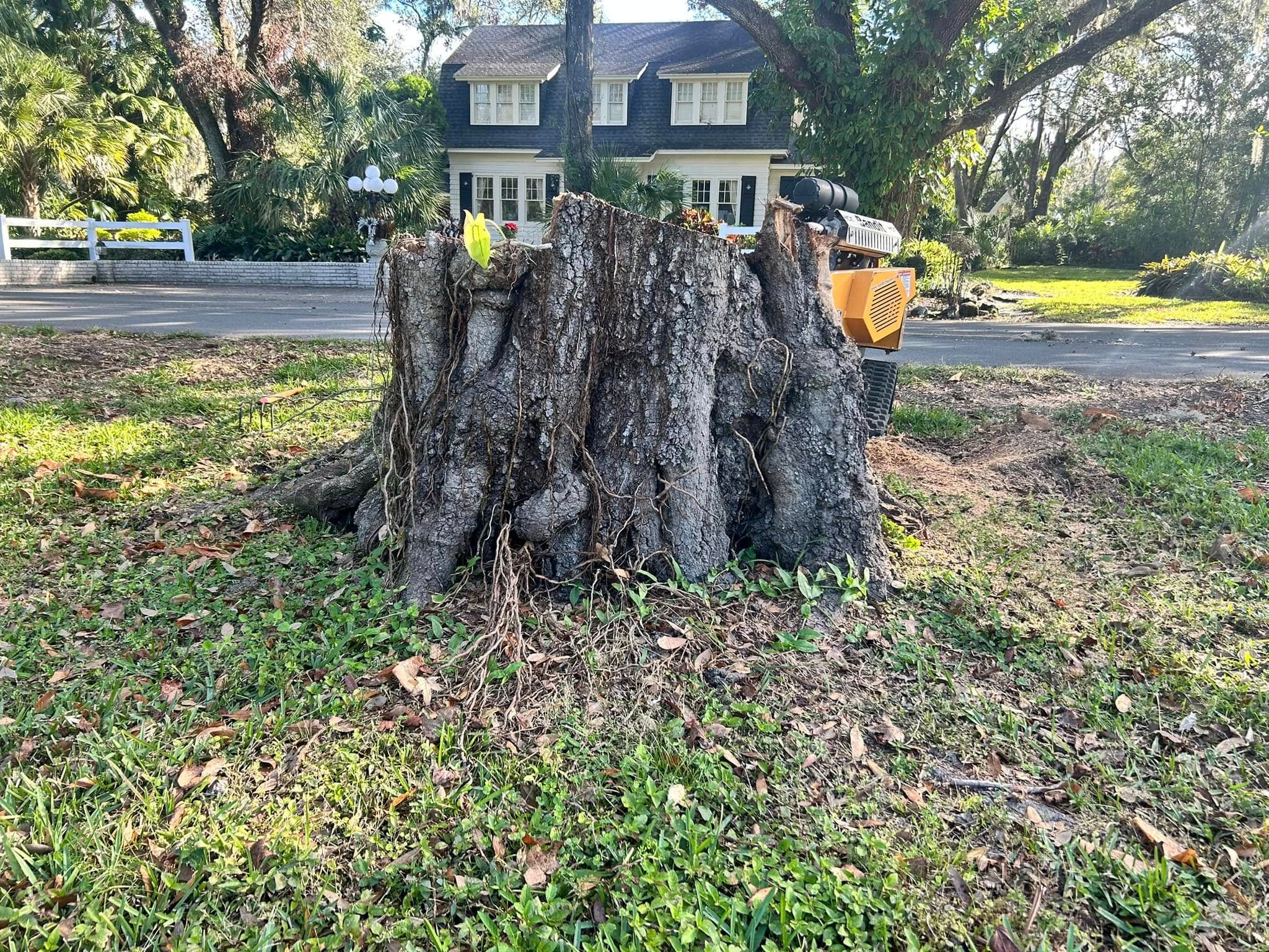  for Greene Acres Stump Grinding in Plant City, FL