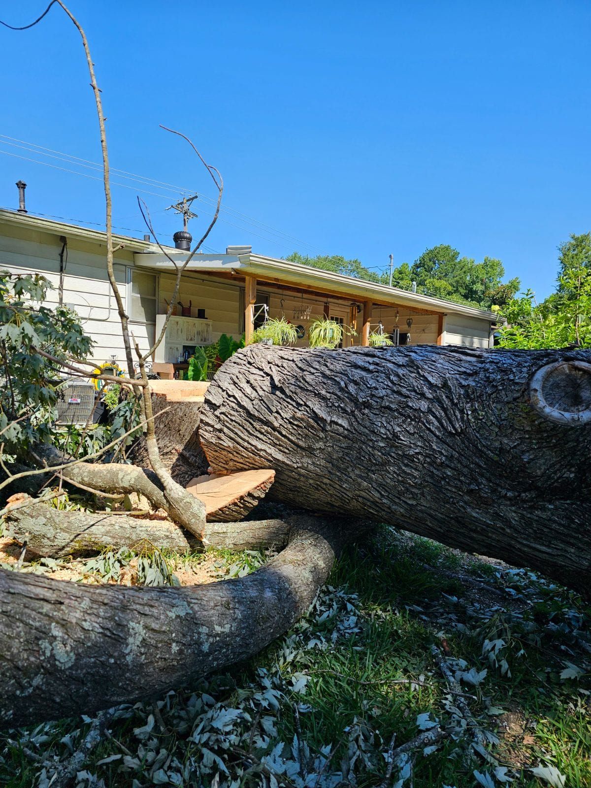  for Millers Tree Service in Saline County, AR
