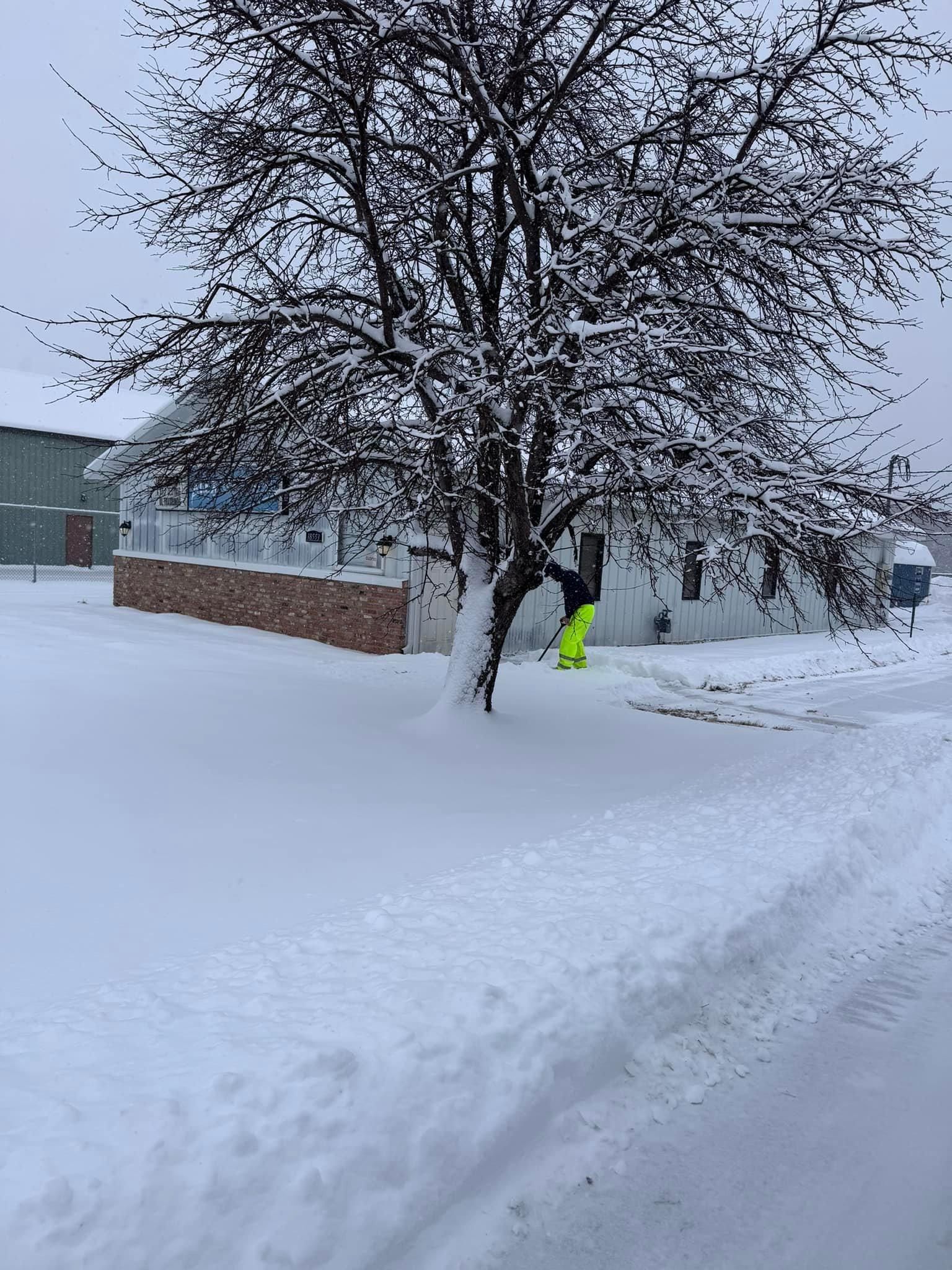 All Photos for K and Z Tree Care in Isanti County, MN