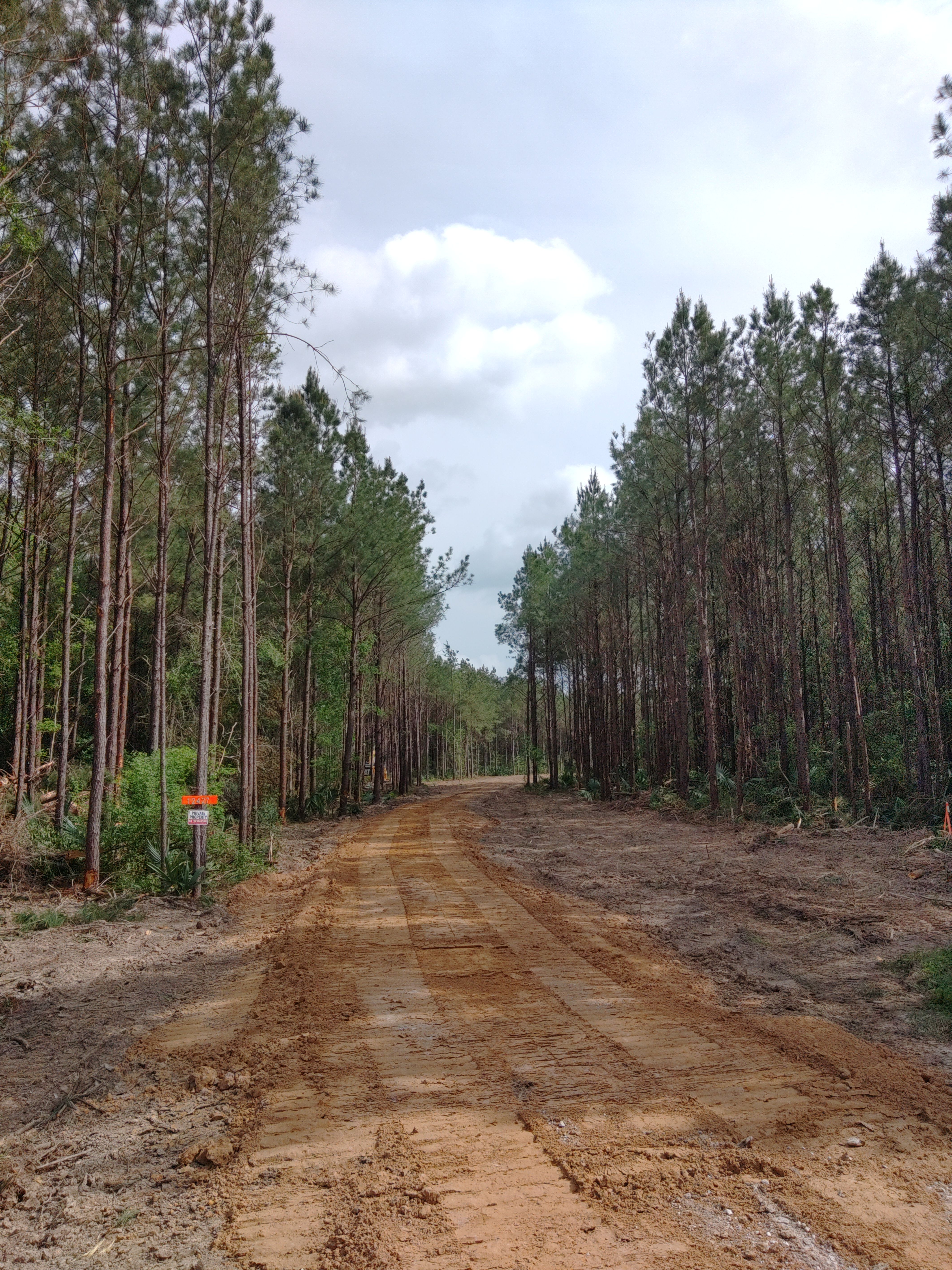 All Photos for Big Thicket Land Clearing in Kountze, TX