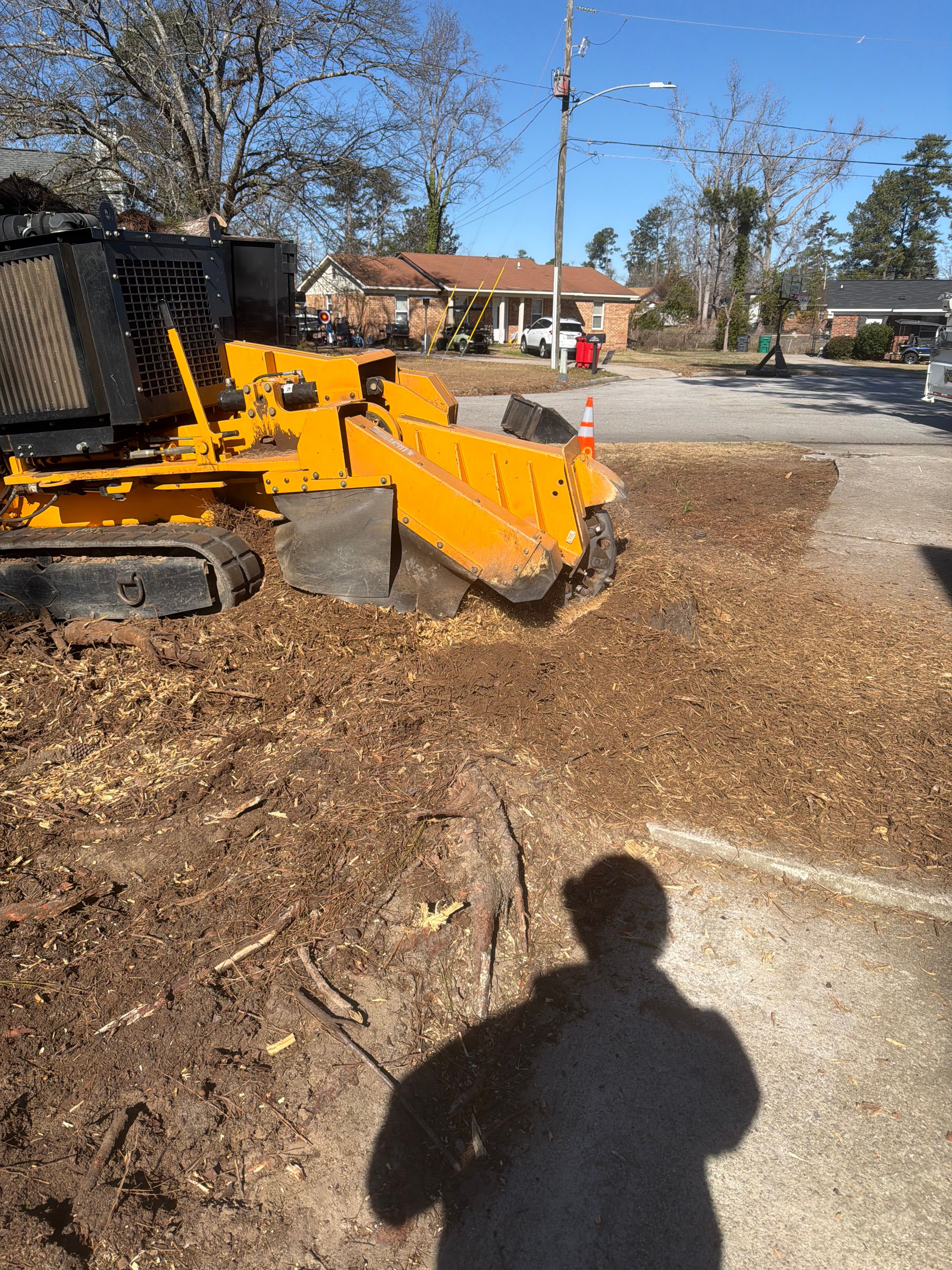  for Dozier Stump Grinding in Augusta, GA