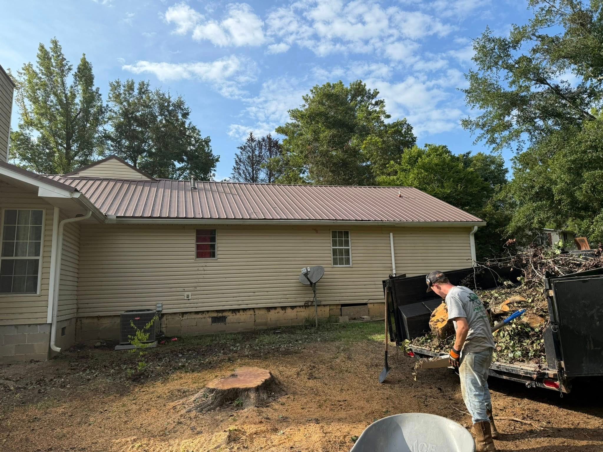  for T N L - Tree and Land Service in Reynolds, GA