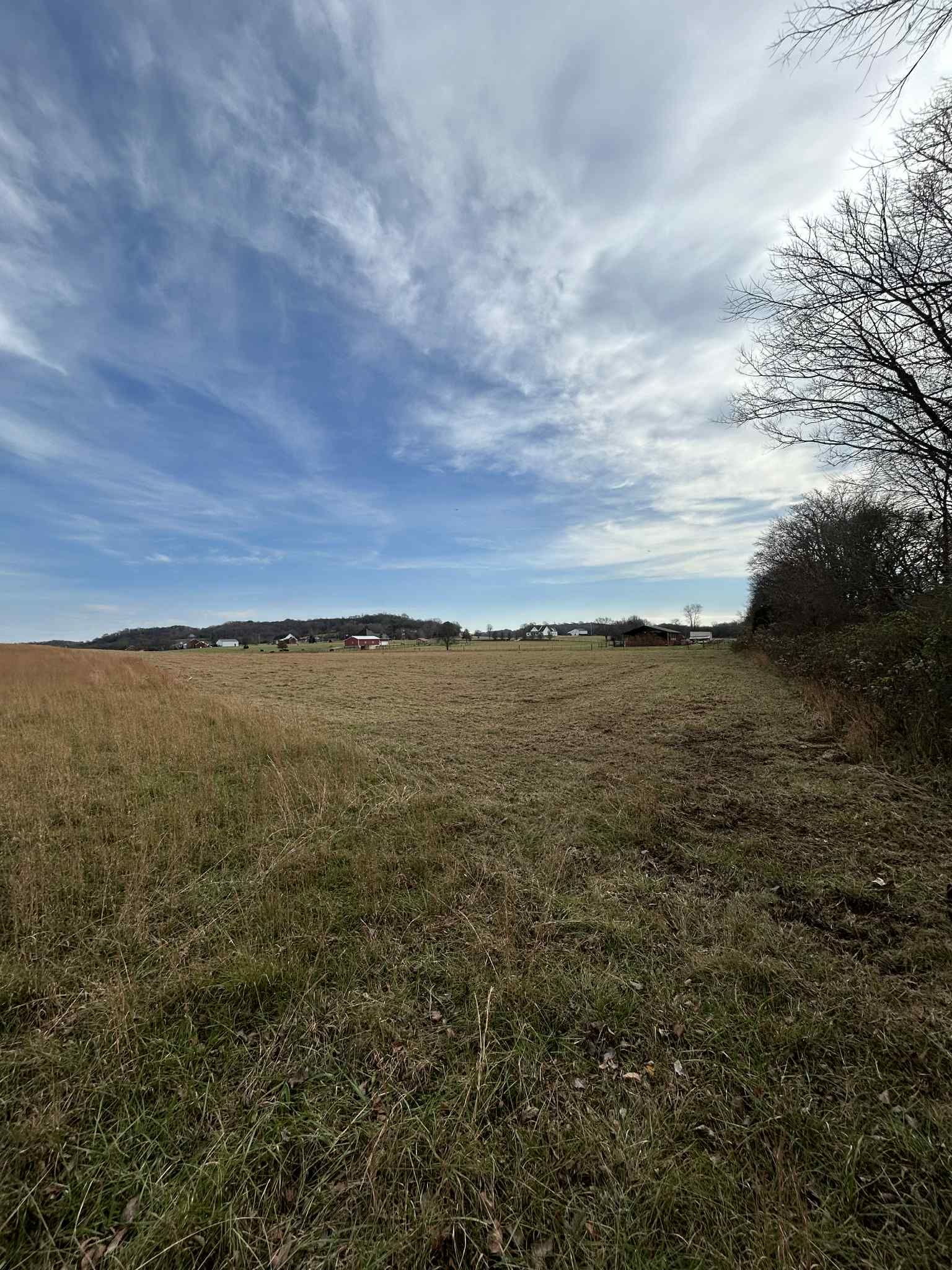  for Z's Land Management & Forestry Mulching in Smithville, TN