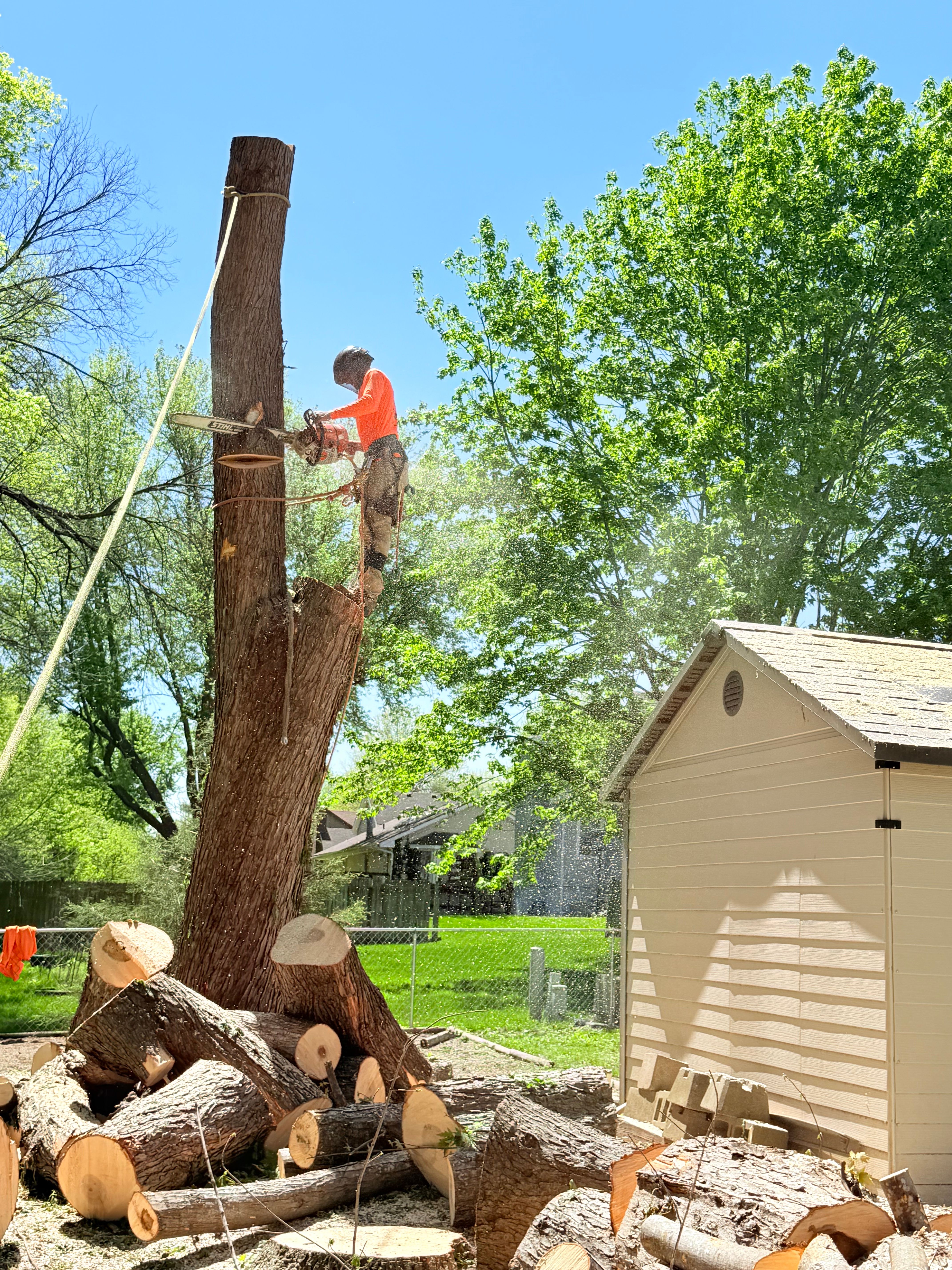 All Photos for Cross Family Tree Service in Kearney, MO