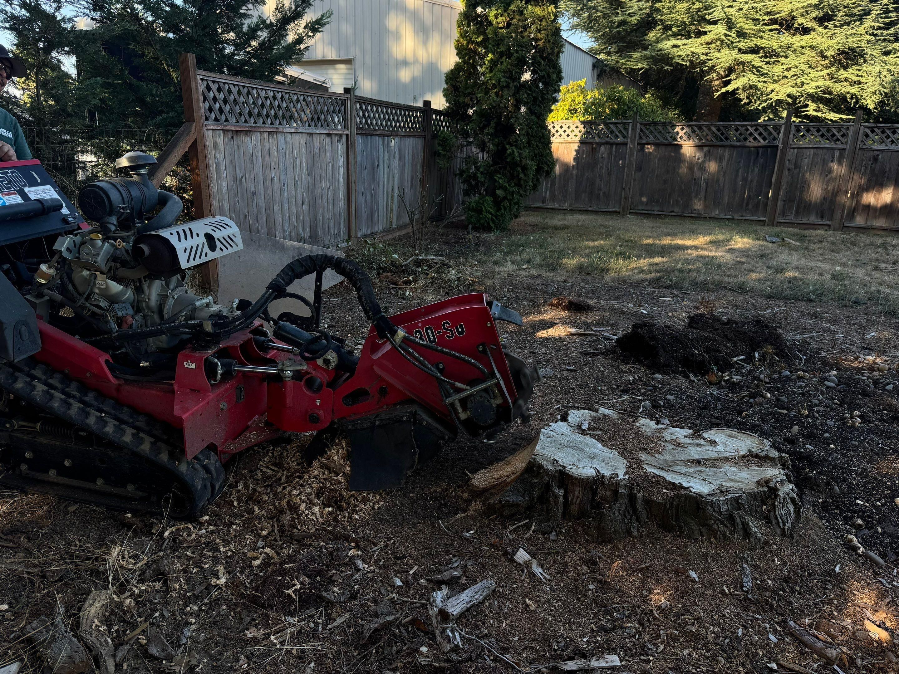  for Willamette Landscaping and Tree Services in Albany, OR