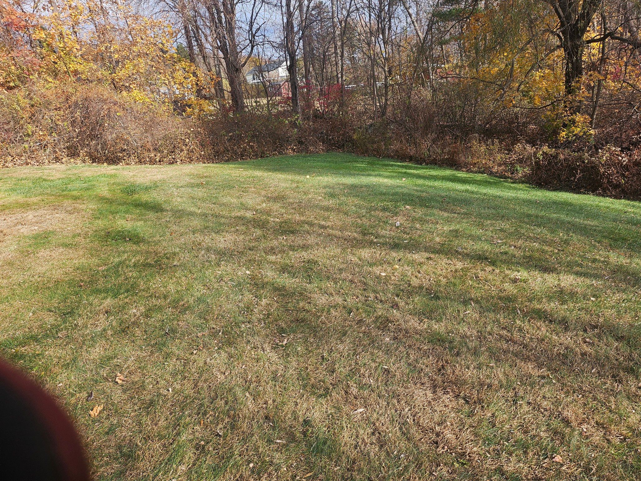 Spring & Fall Cleanups for Landscape Innovations LLC in Torrington, CT