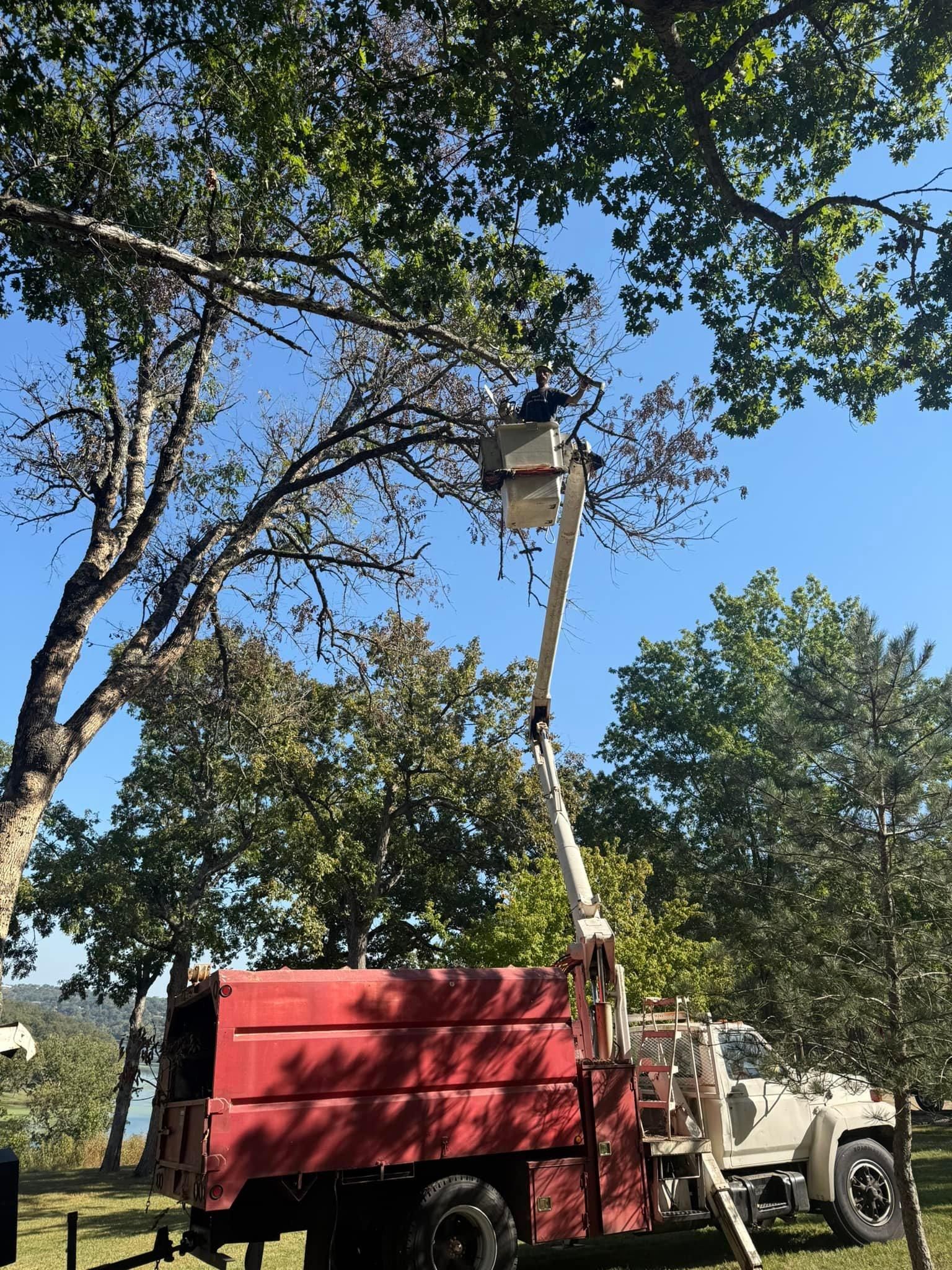  for H n H Tree Service in Taneyville, MO