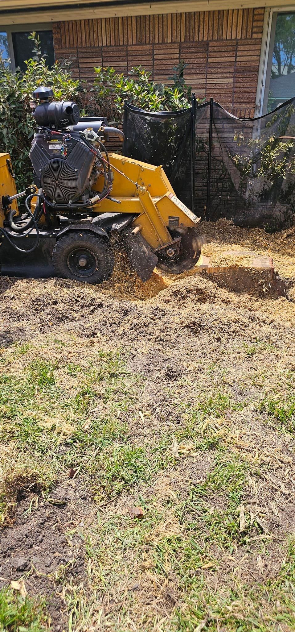  for Servin's Tree Care  in Houston, TX