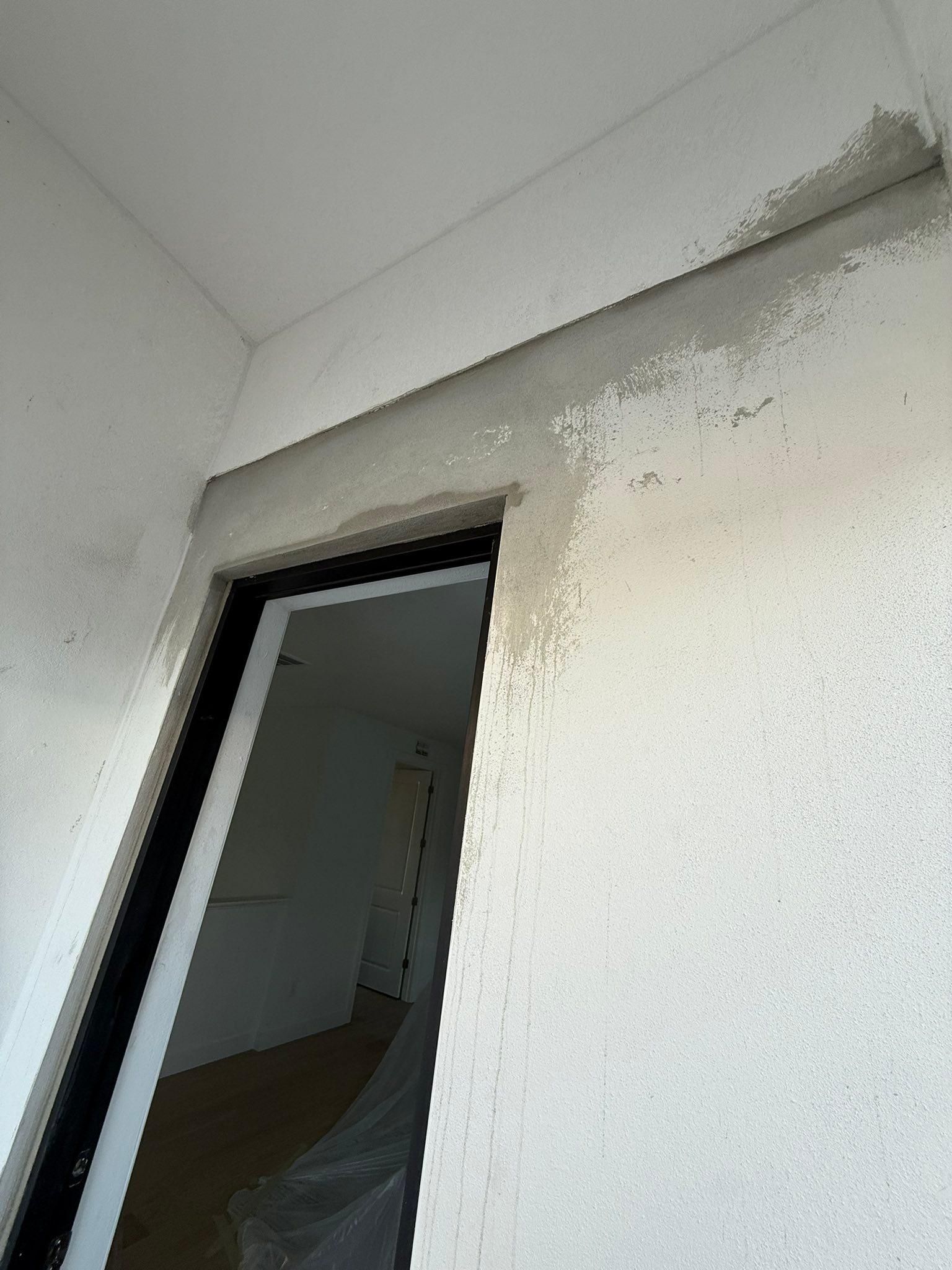  for Escorpio Painting in Tampa, FL