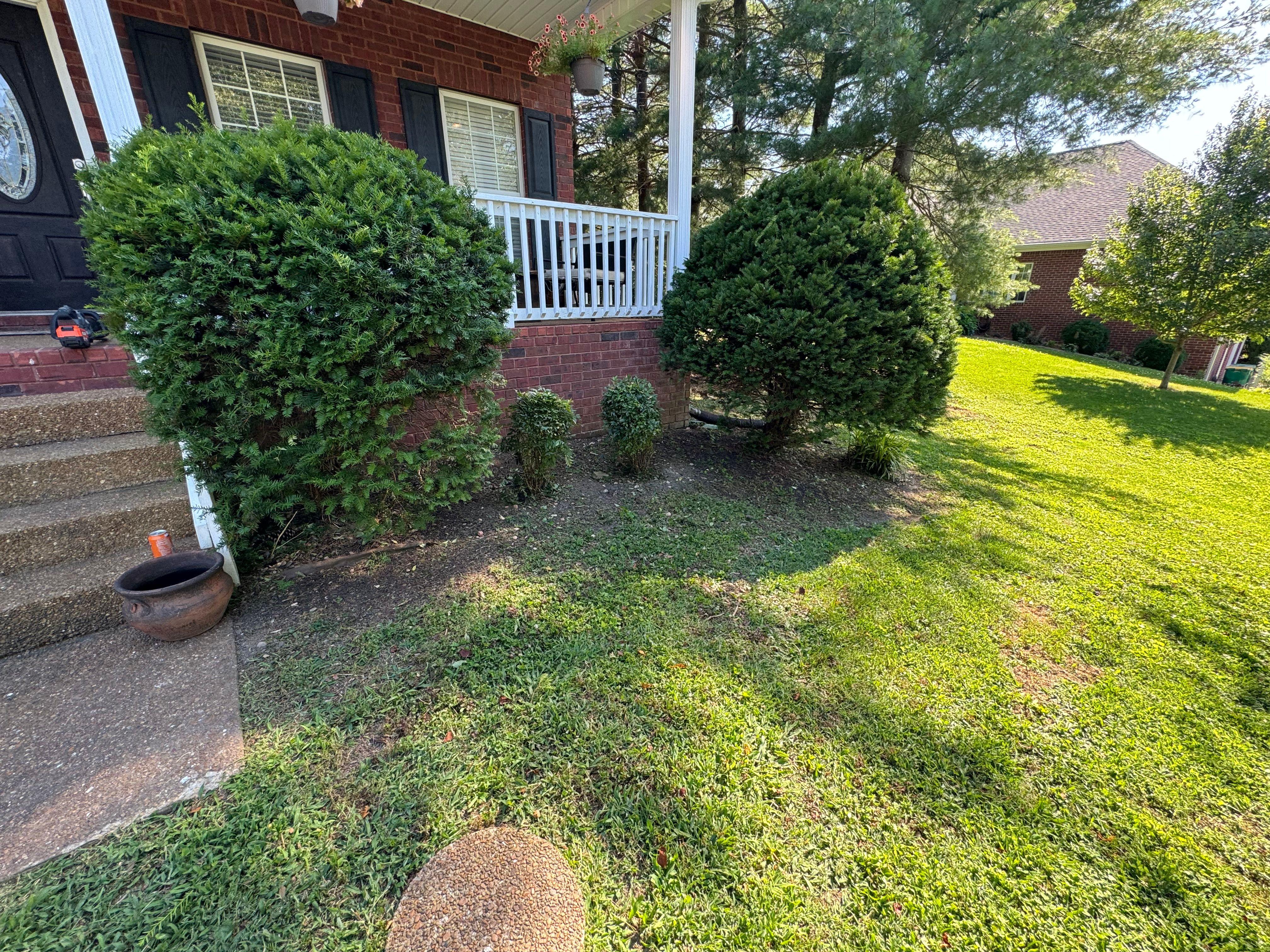  for Grass & Blast Property Solutions in Spring Hill, TN