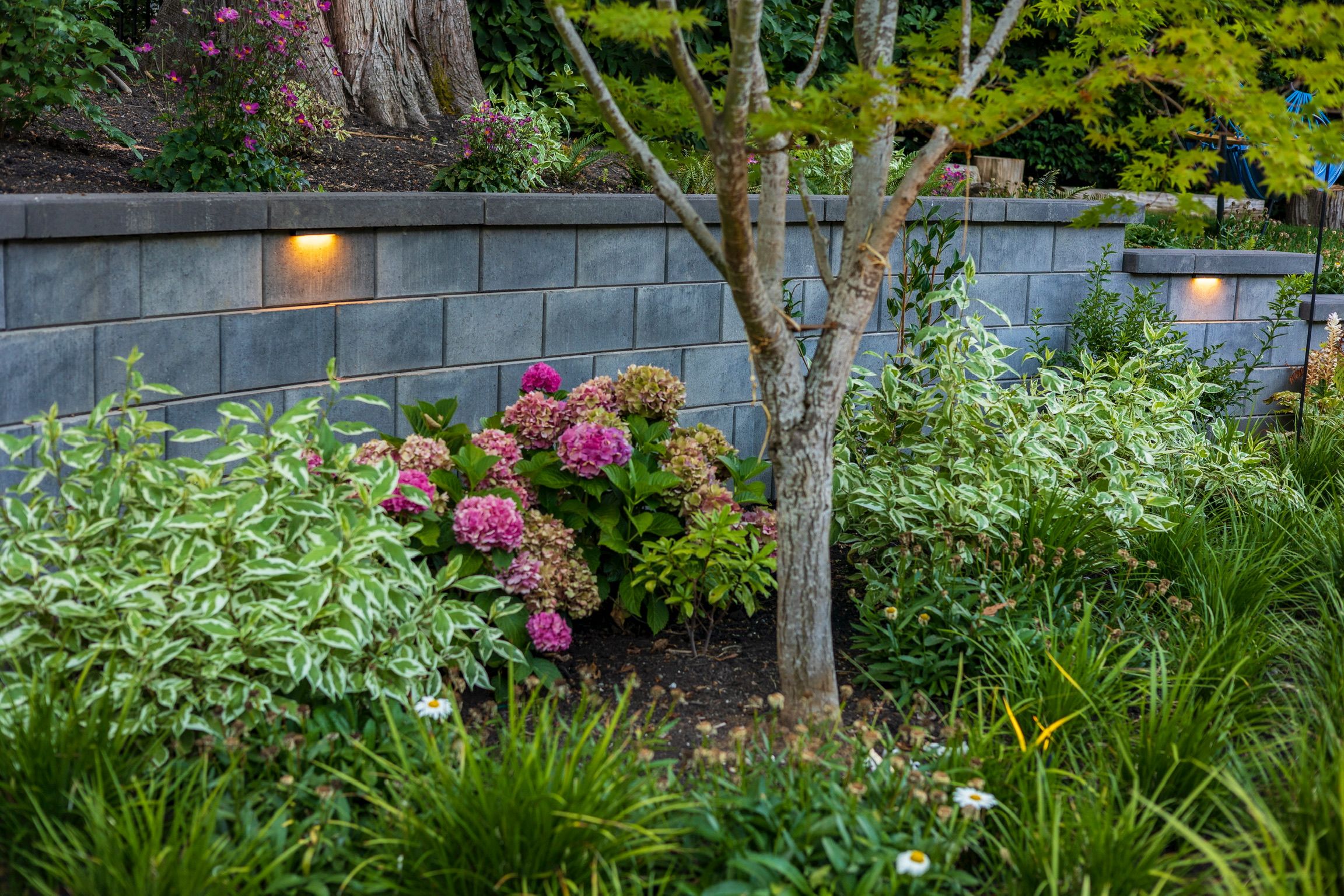  for Courtney Lewis Landscape Design in Portland, OR