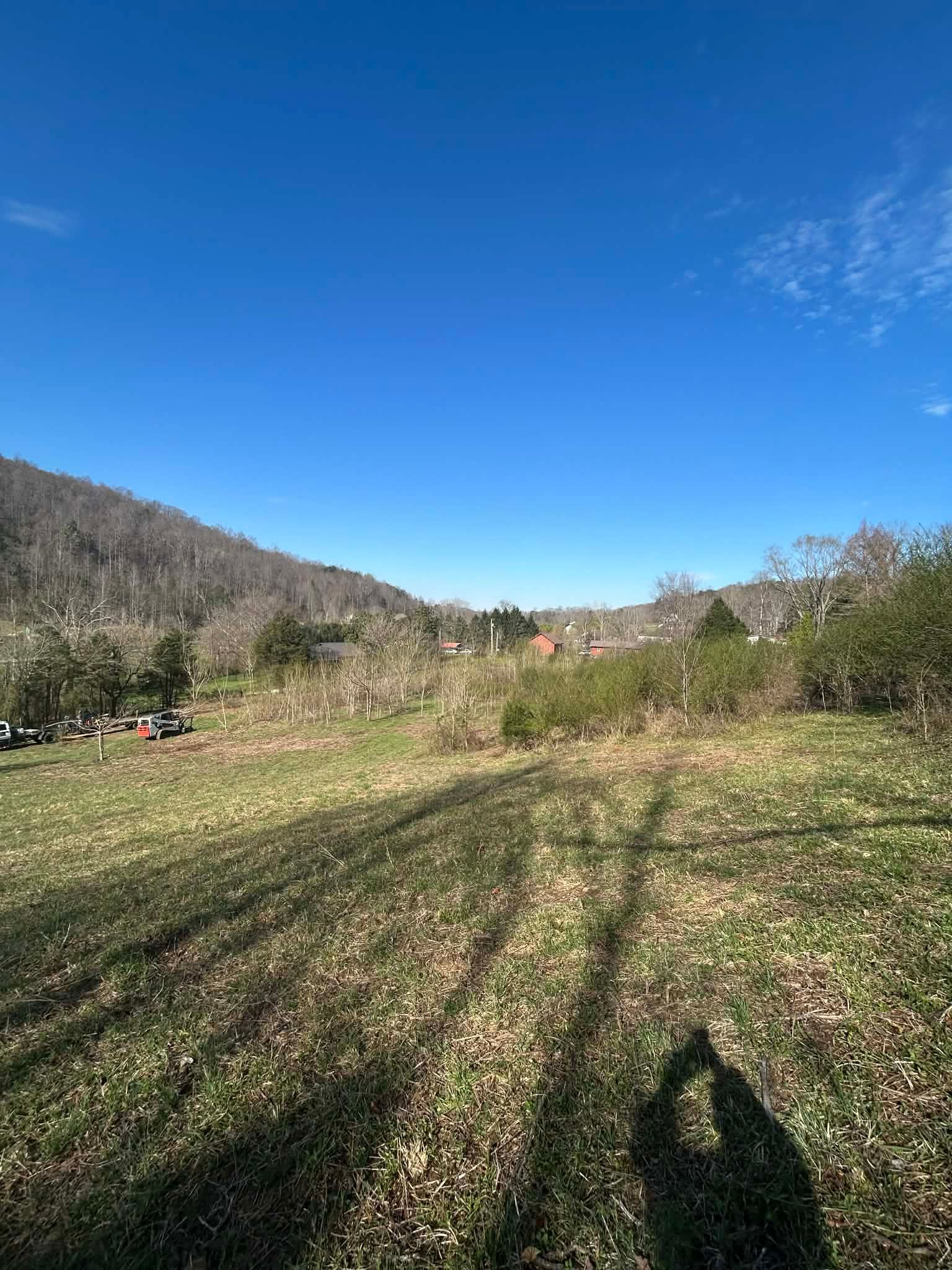  for Z's Land Management & Forestry Mulching in Smithville, TN