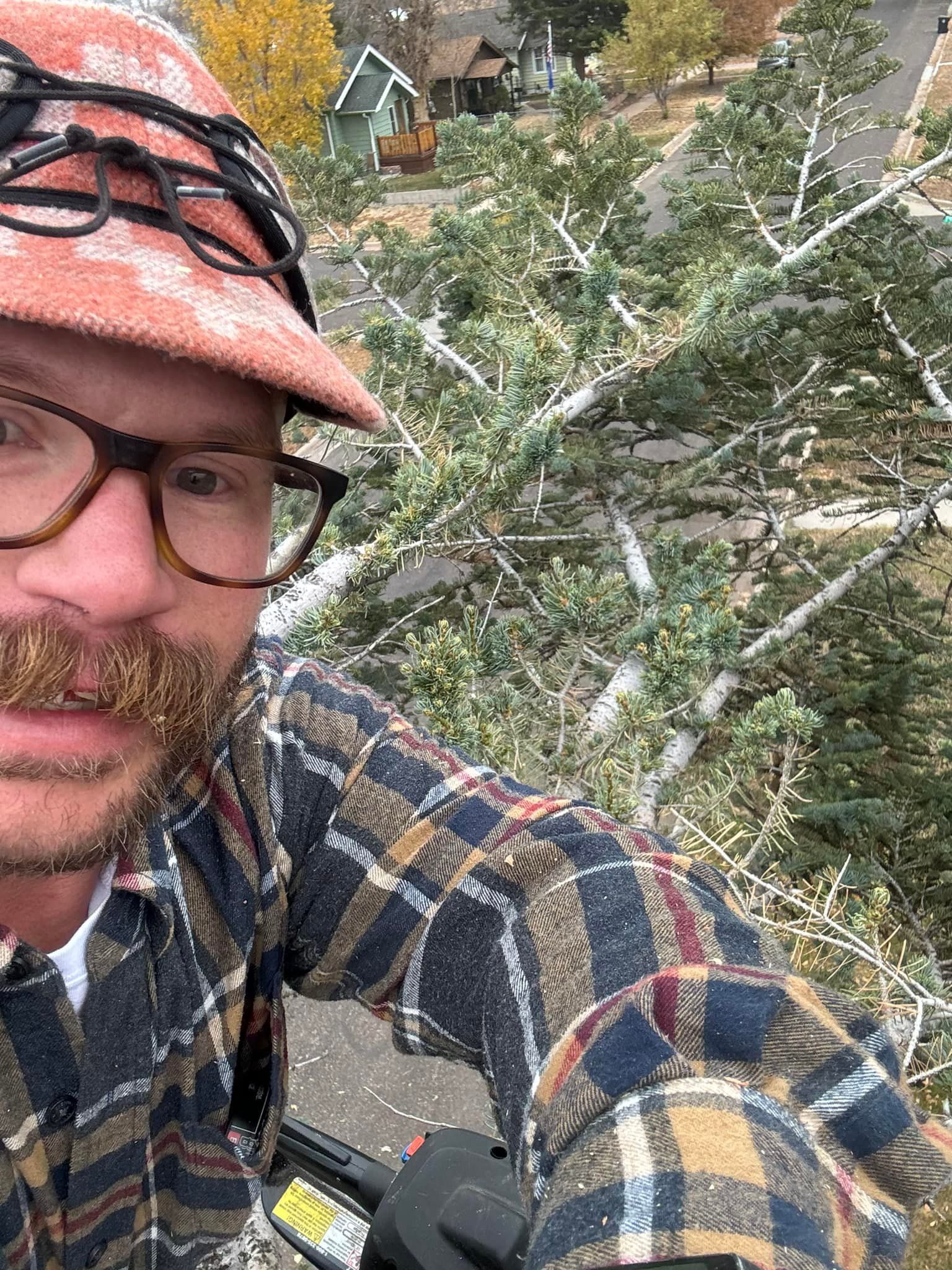 All Photos for Graham’s Tree Services in Pierce, CO