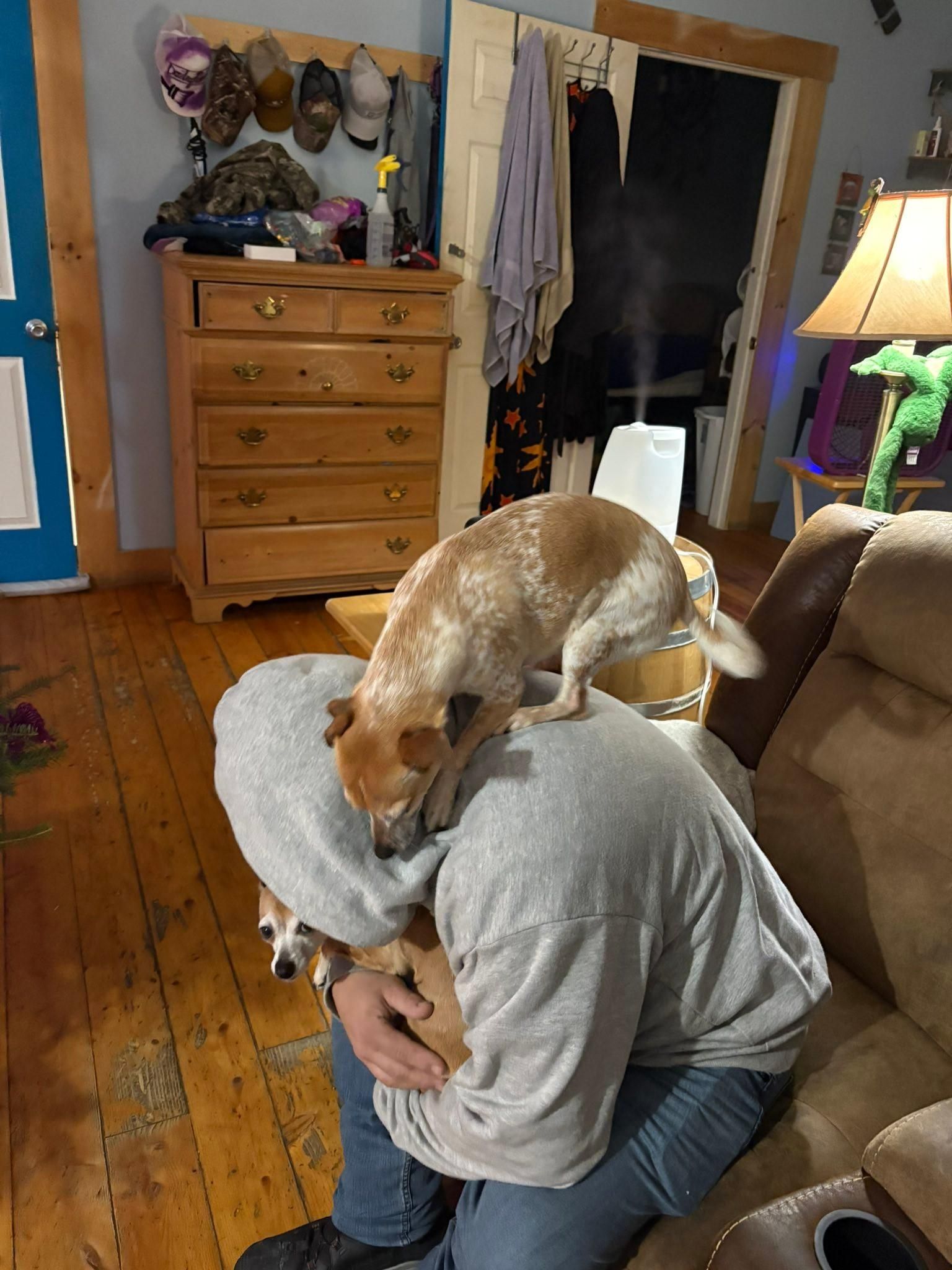  for The Dailey Daisy in Hardwick, VT