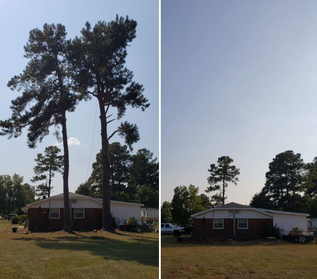  for Trees Unlimited of the CSRA in Augusta, GA