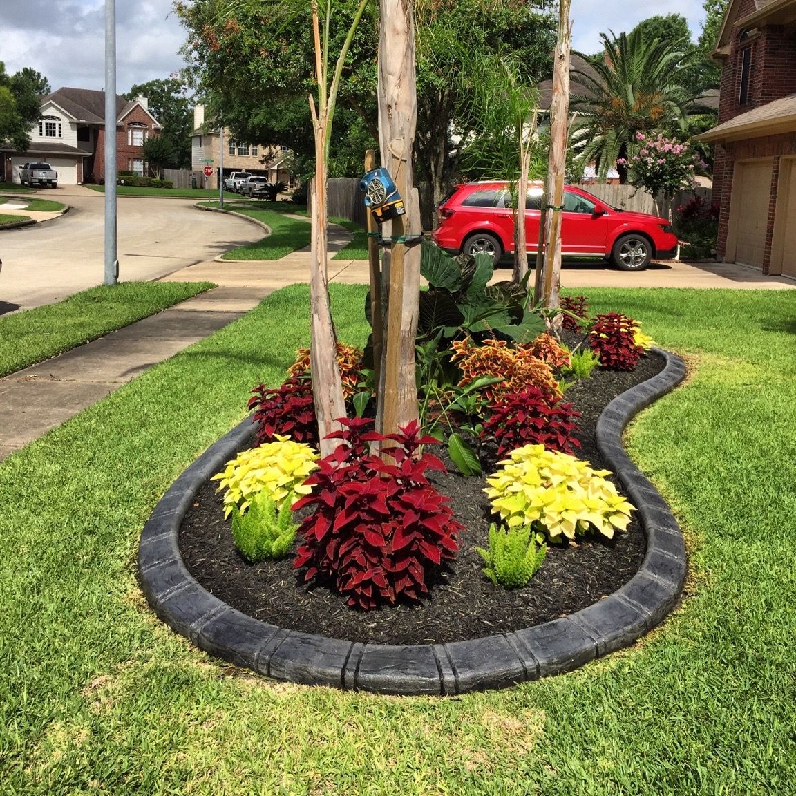  for Texas Curb N Borders in Houston, TX