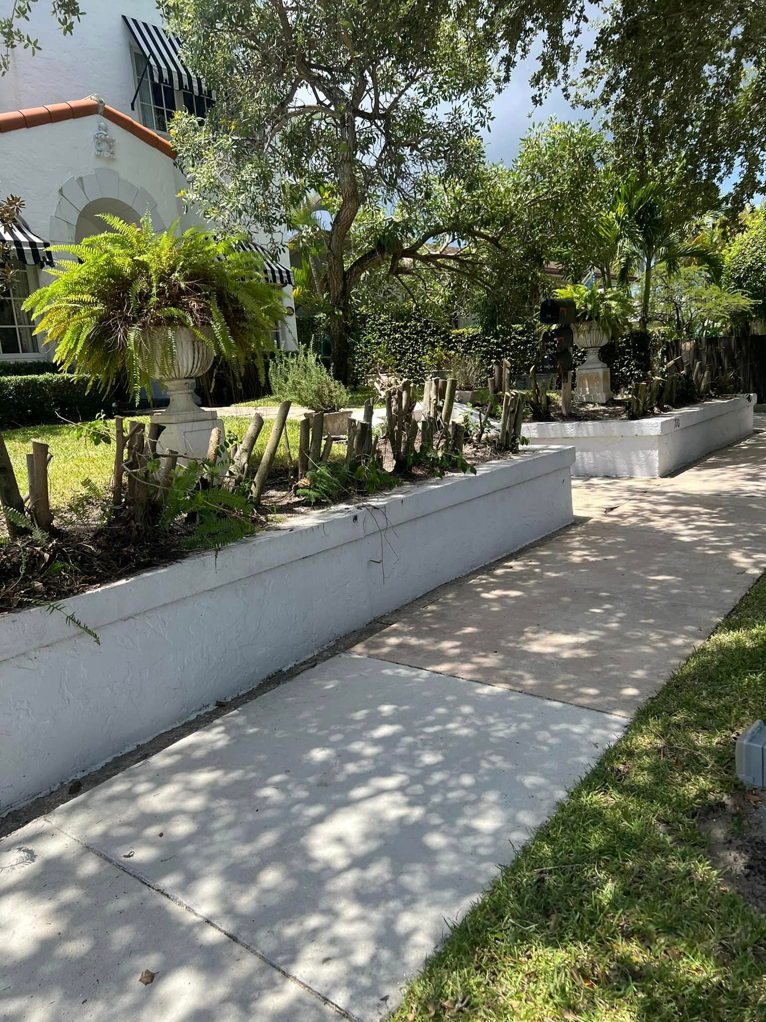 Tree Trimming and Removal for Rey Landscaping & Lawn service LLC in West Palm Beach,  FL