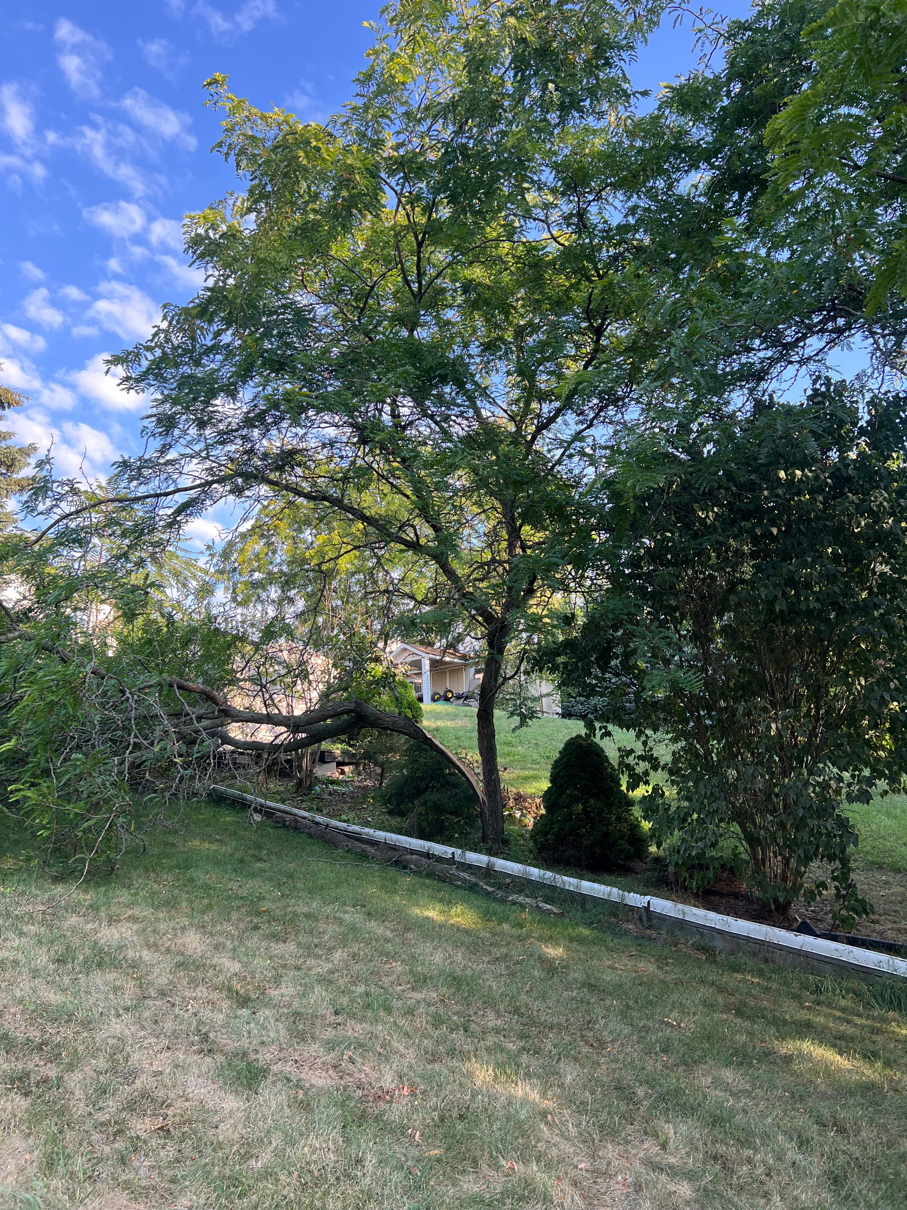  for CMN Exterior Maintenance in Hamilton, ON