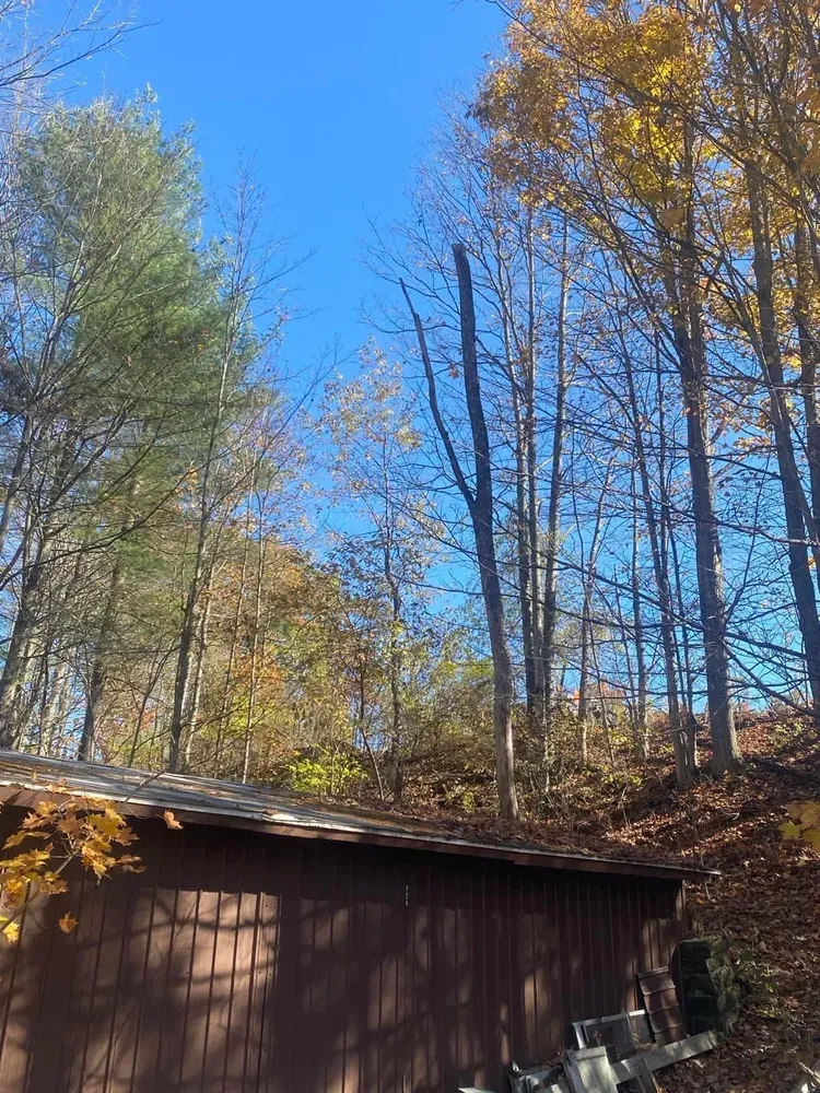 All Photos for Licensed to Cut Tree Service in Athens, PA