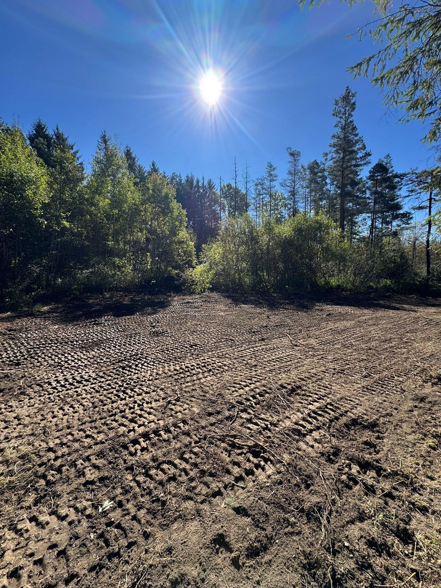 All Photos for Harpers Landscaping in Fredonia, NY