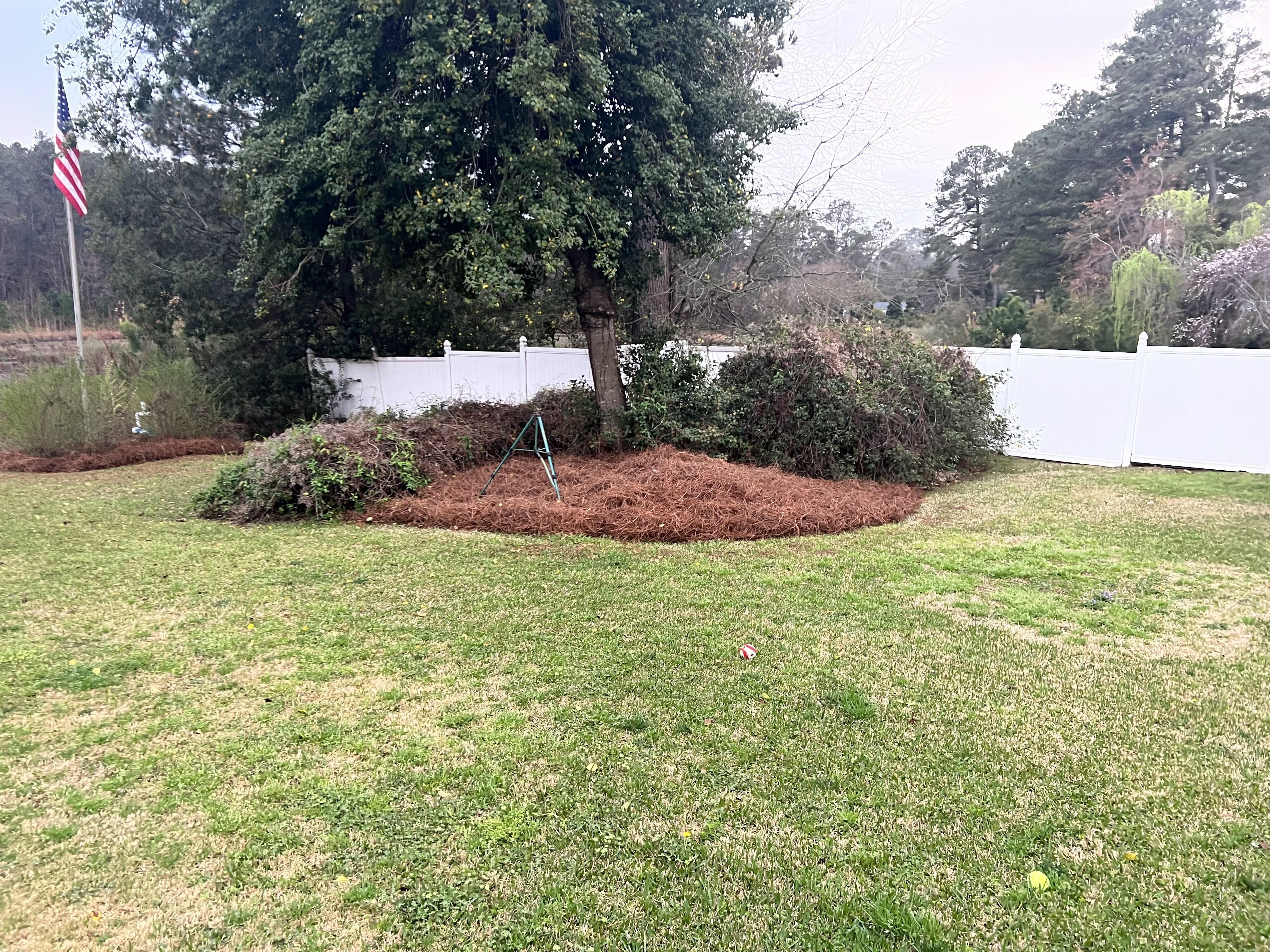  for Shang's Landscaping Service in Columbia, South Carolina