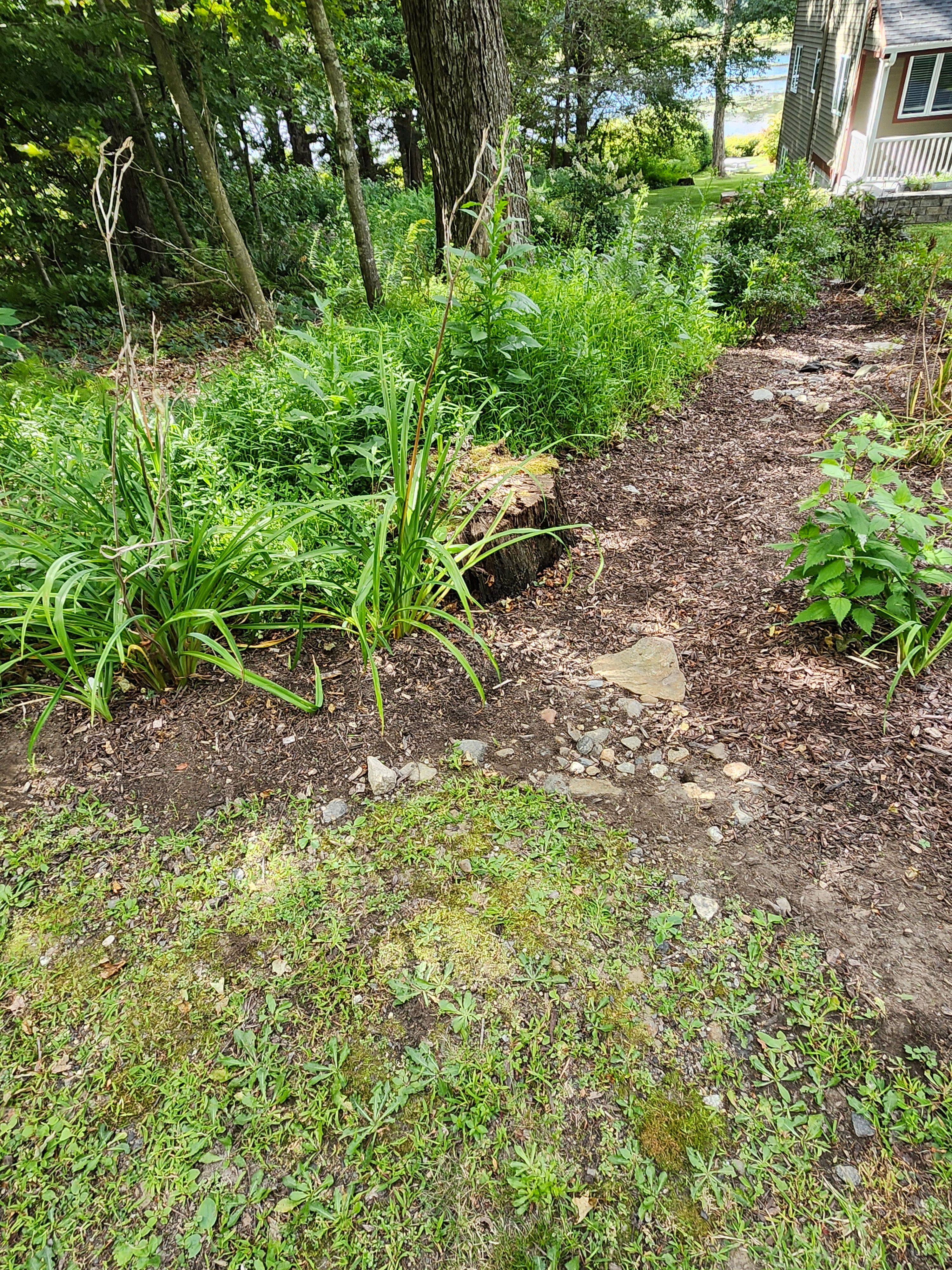 Muclhing & Weeding for Landscape Innovations LLC in Torrington, CT