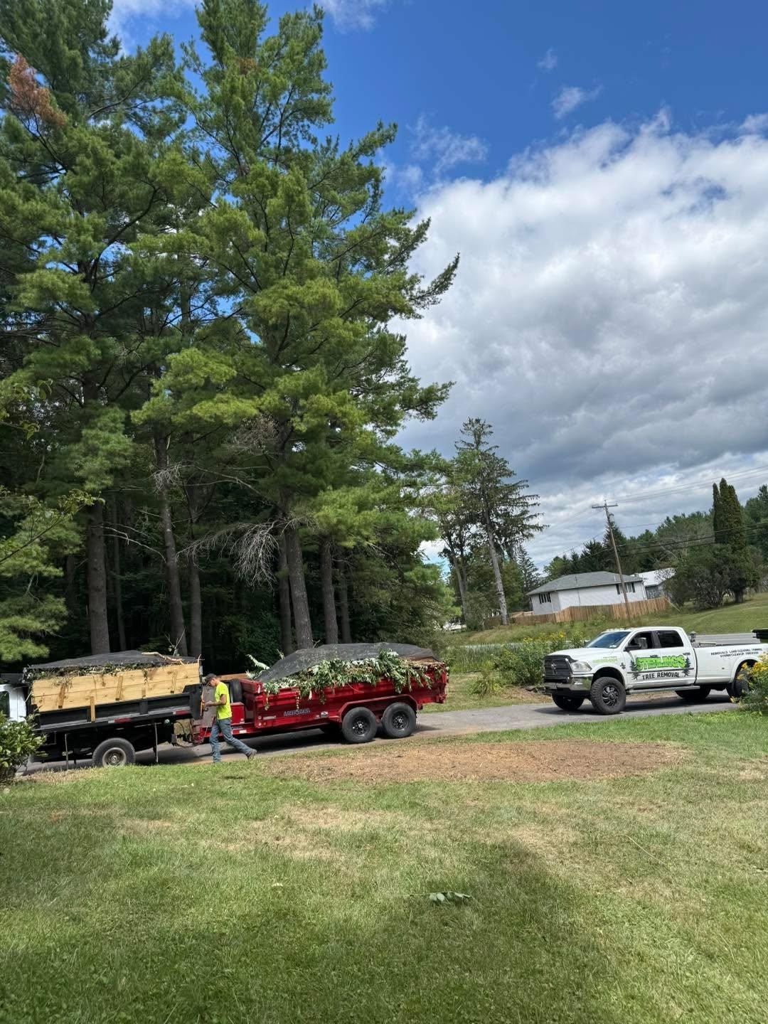  for Sterlings Tree Removal in Cobleskill, New York