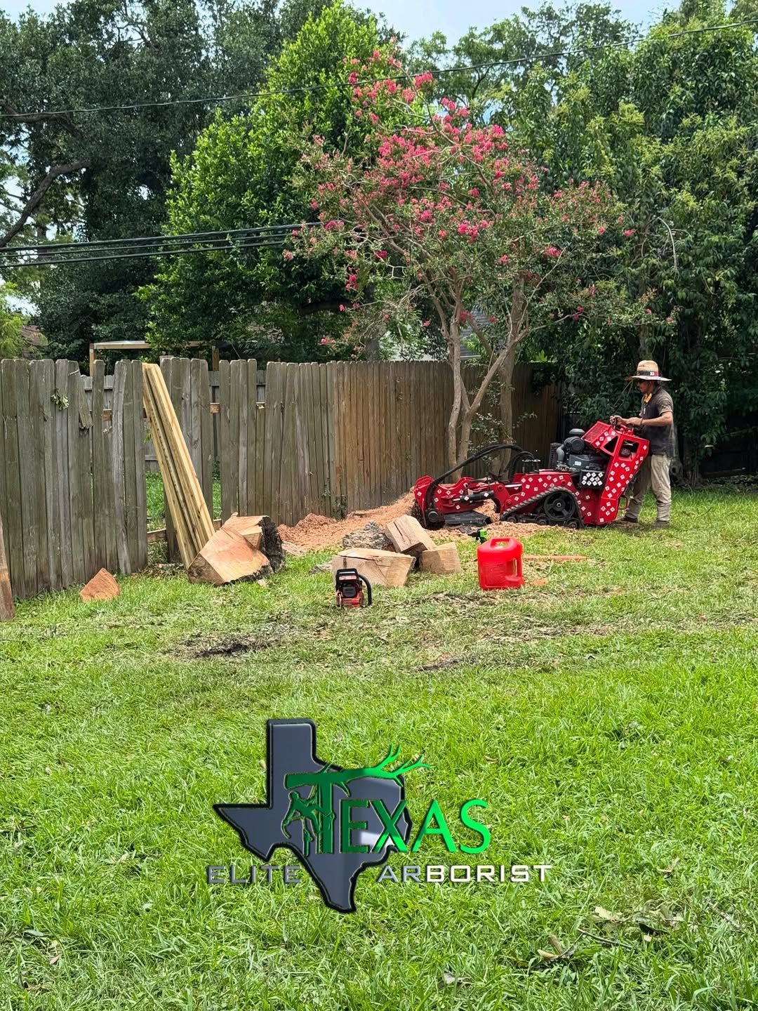 for Texas Elite Arborist in Houston, TX
