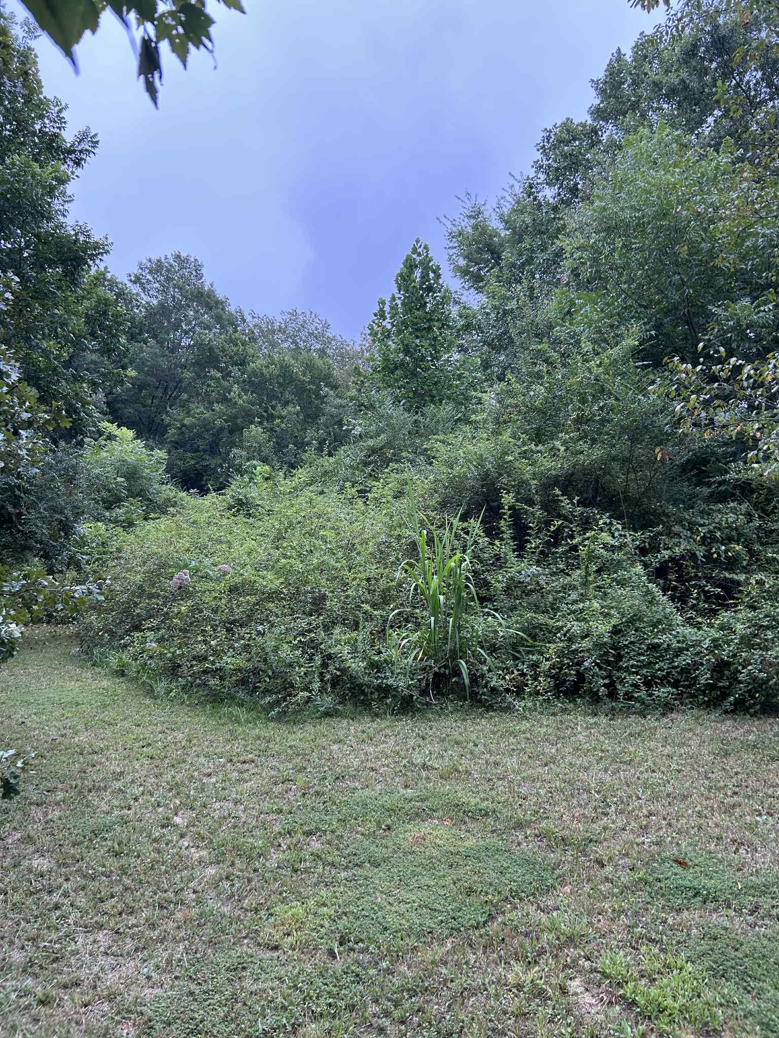  for Z's Land Management & Forestry Mulching in Smithville, TN