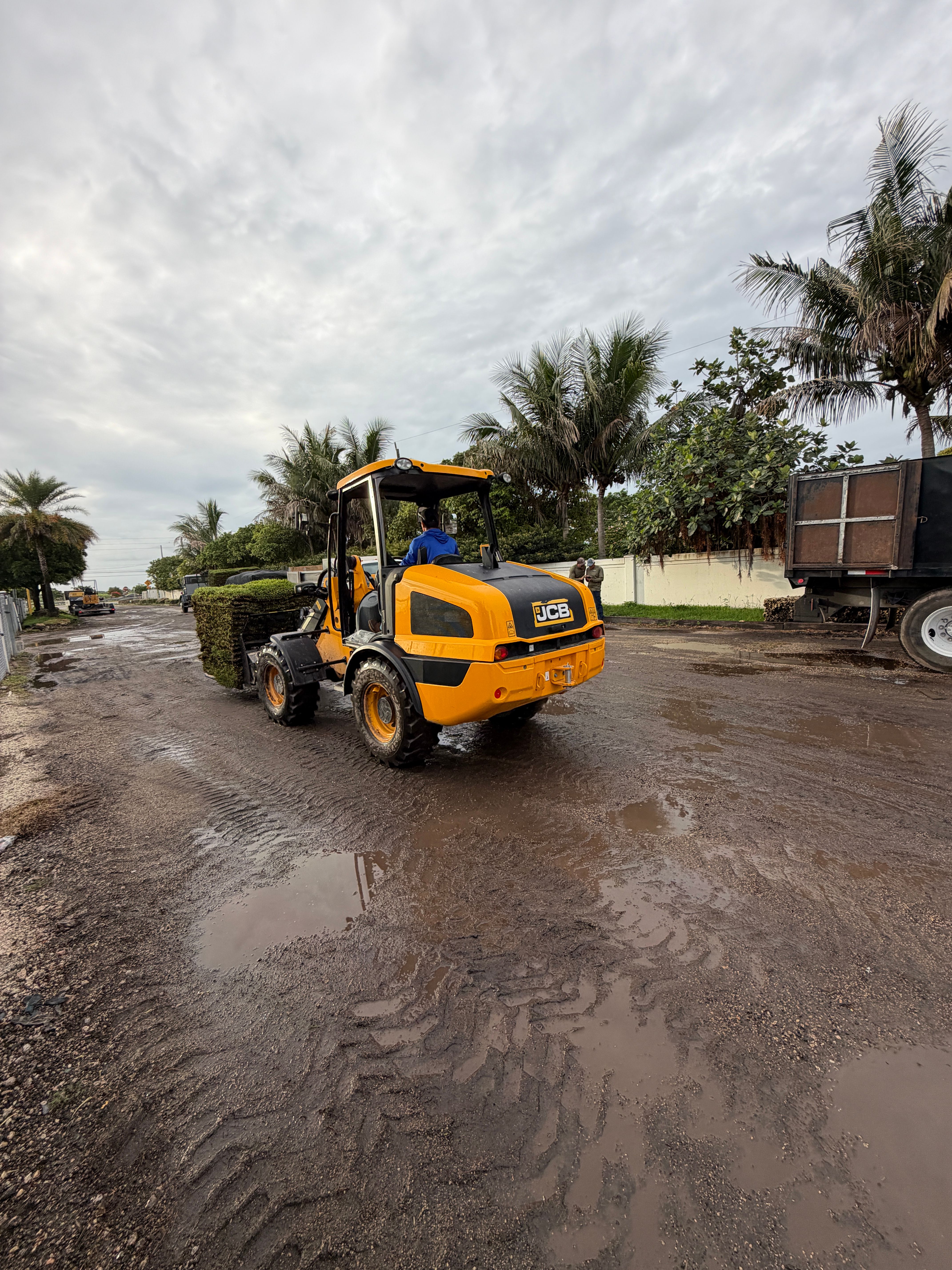  for Nurry Tree Services in Miami, FL