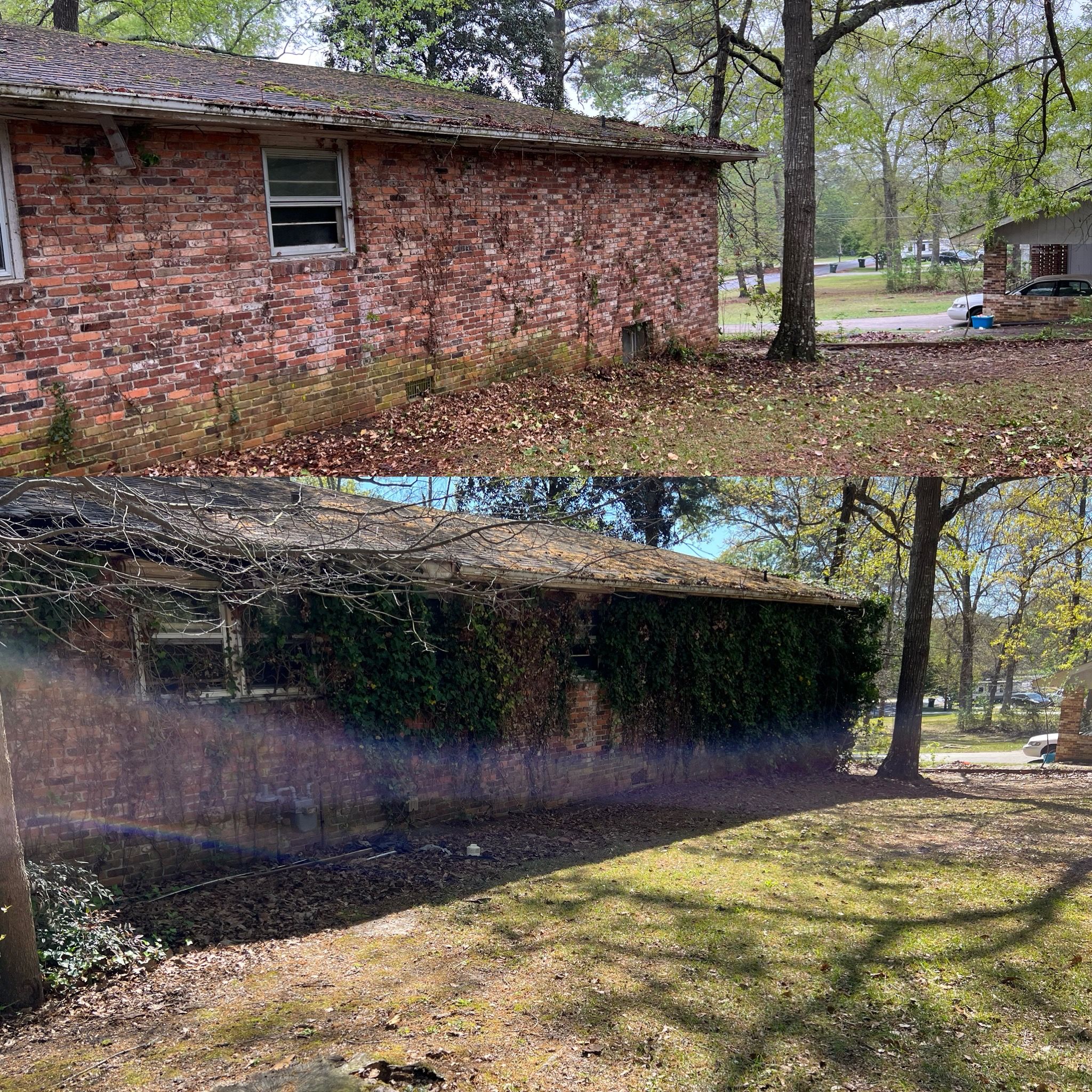 All Photos for Camalett Services in Perry, GA