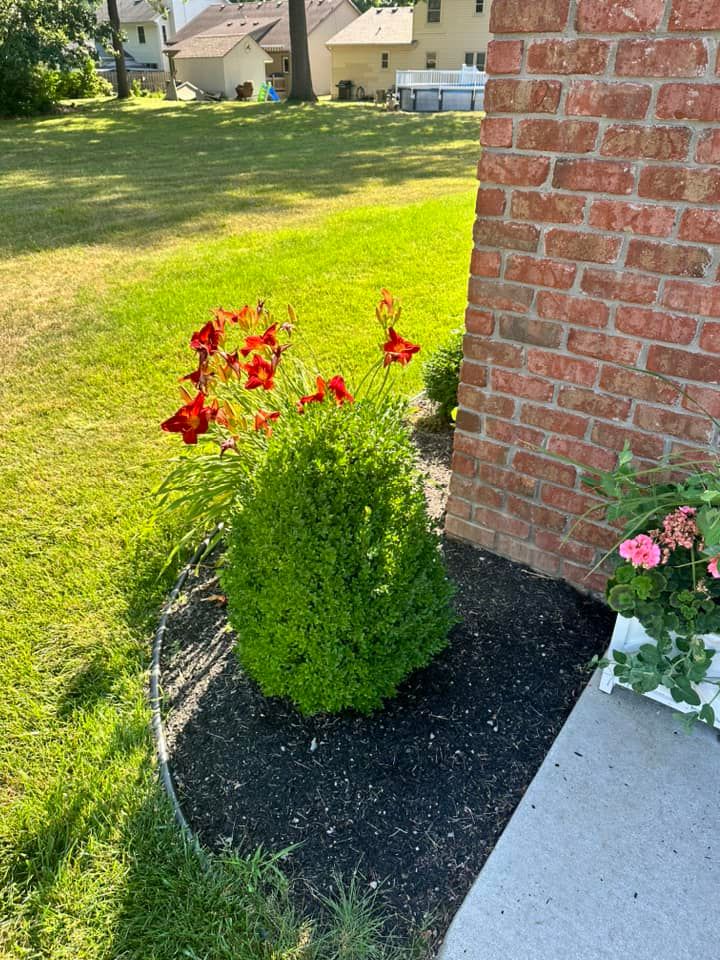  for Sargent's Lawn and Property Maintenance LLC in Lambertville, MI
