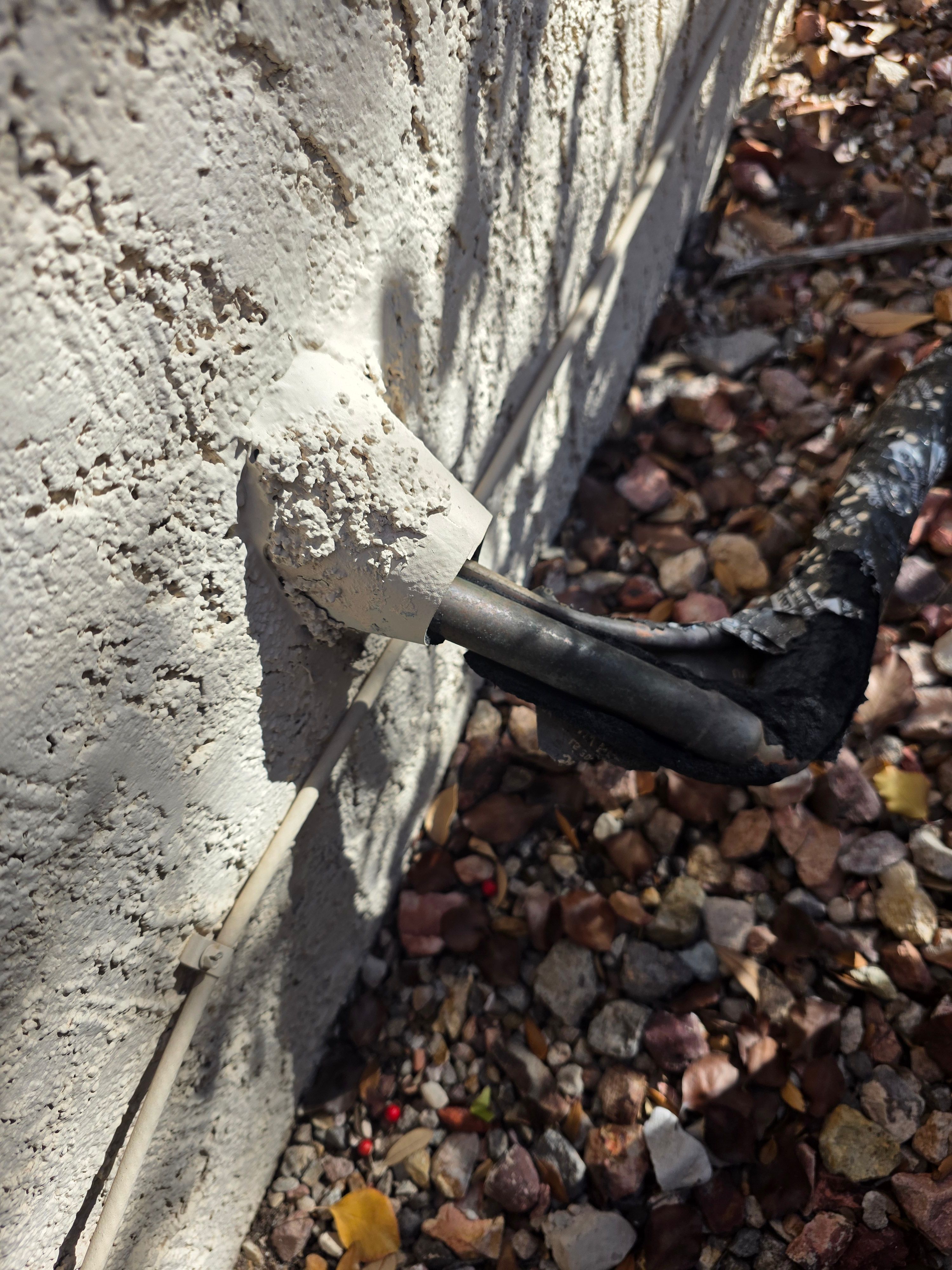  for Niko's Pest Control in Las Vegas, NV