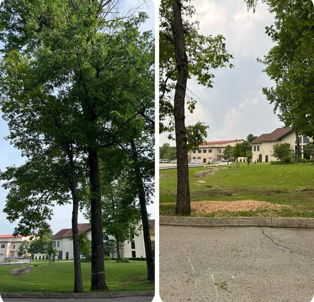  for McBee’s Tree Service in Sewanee, TN