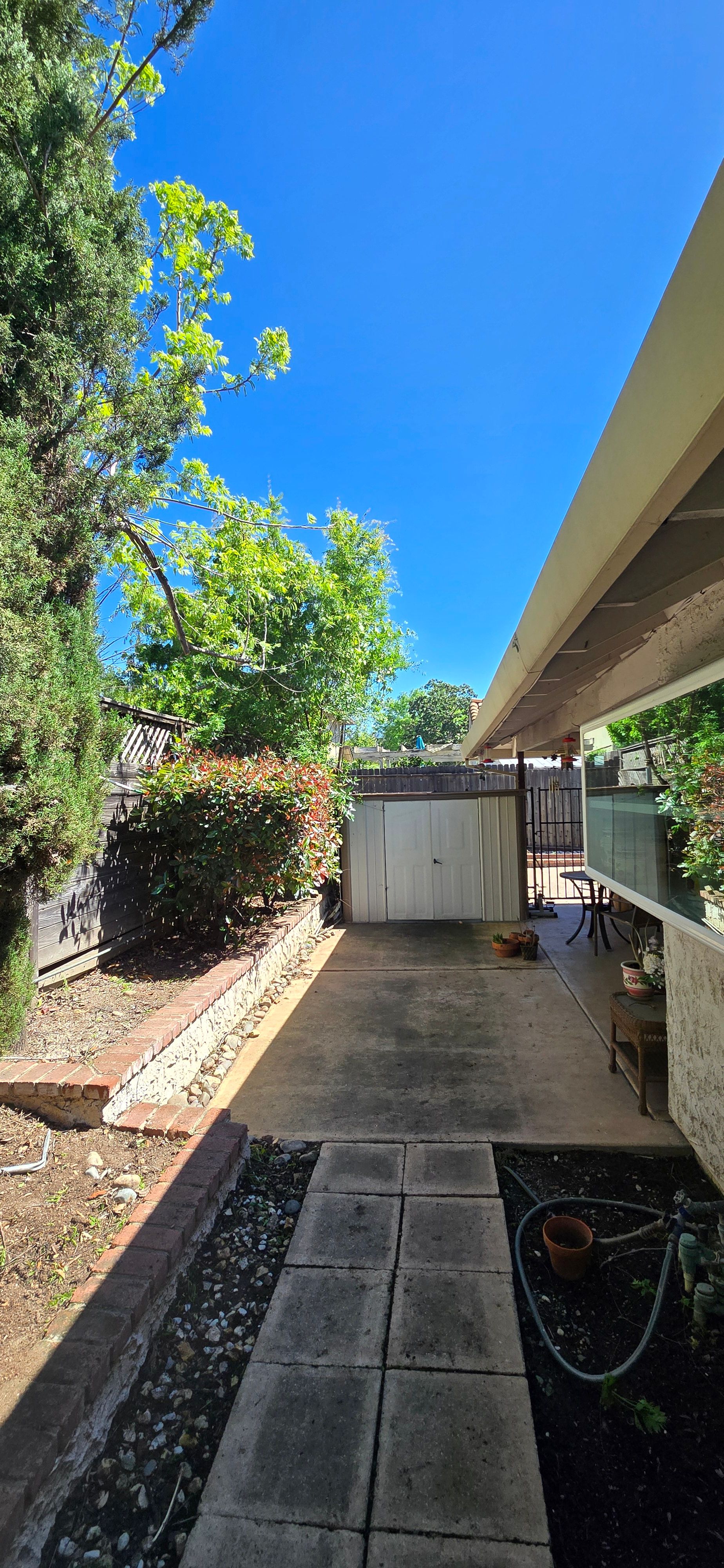  for George Staddan's Professional Tree Care in Placerville, CA