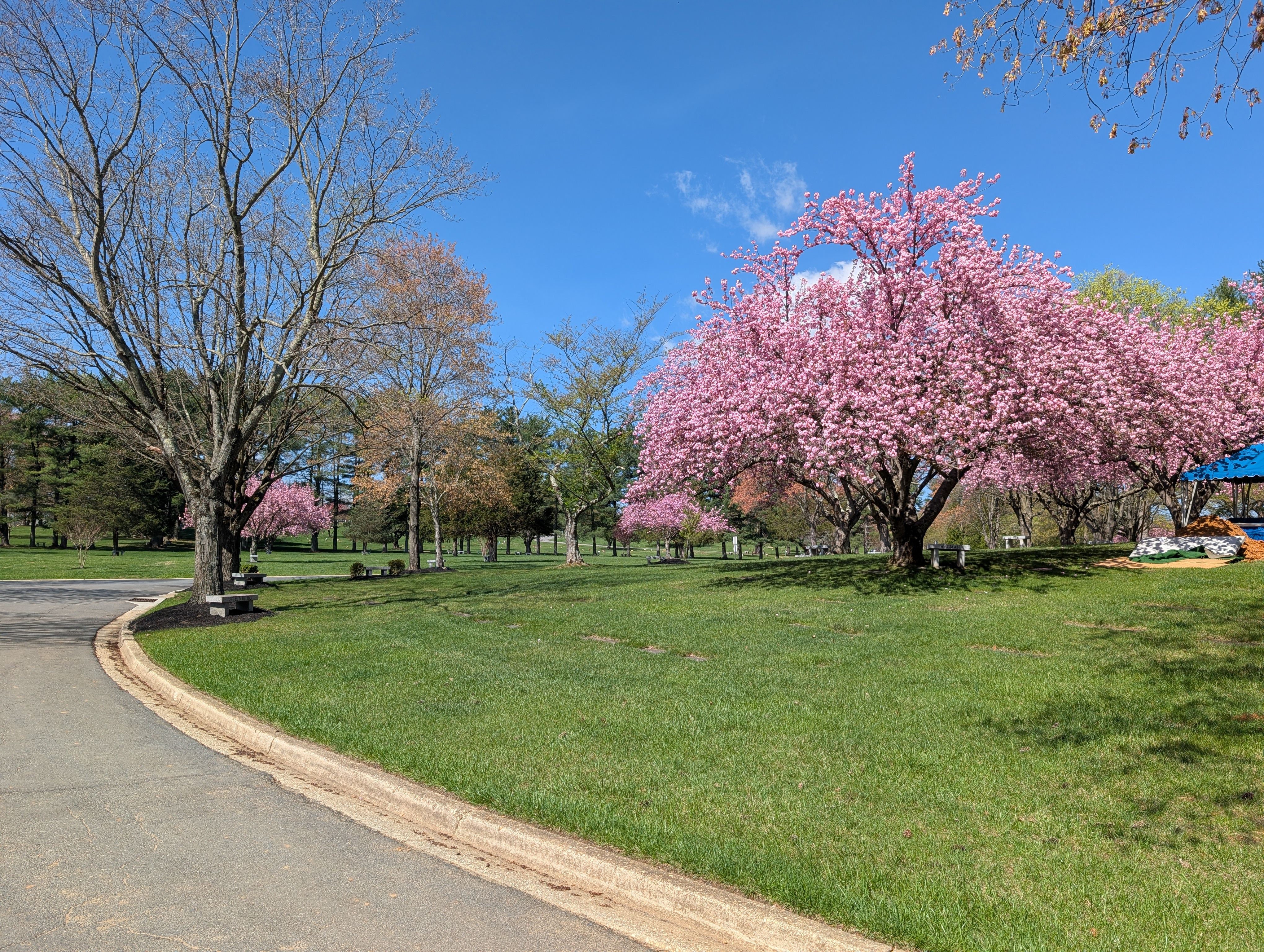  for Glen Co Solutions Inc. in Frederick, MD