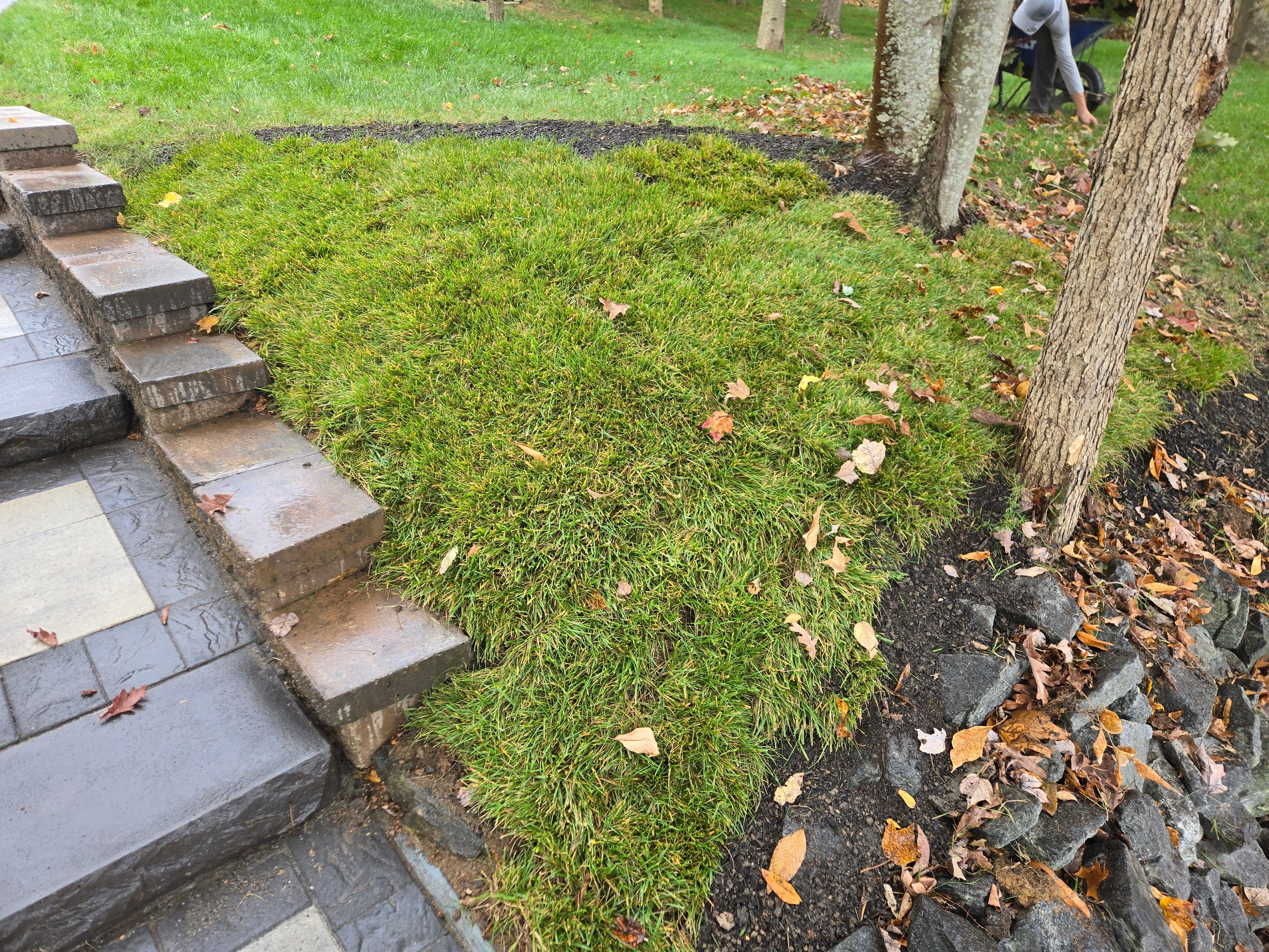  for Lakeside Landscaping  in Gordonsville, VA