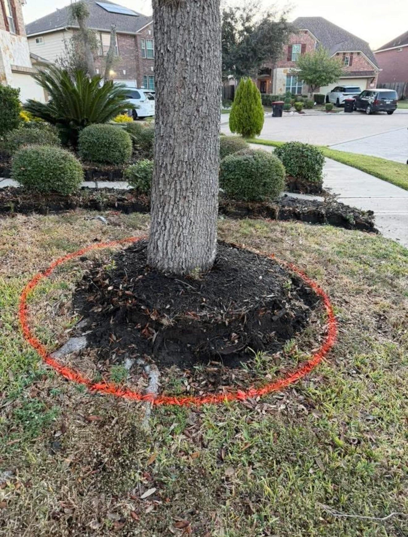  for Texas Curb N Borders in Houston, TX