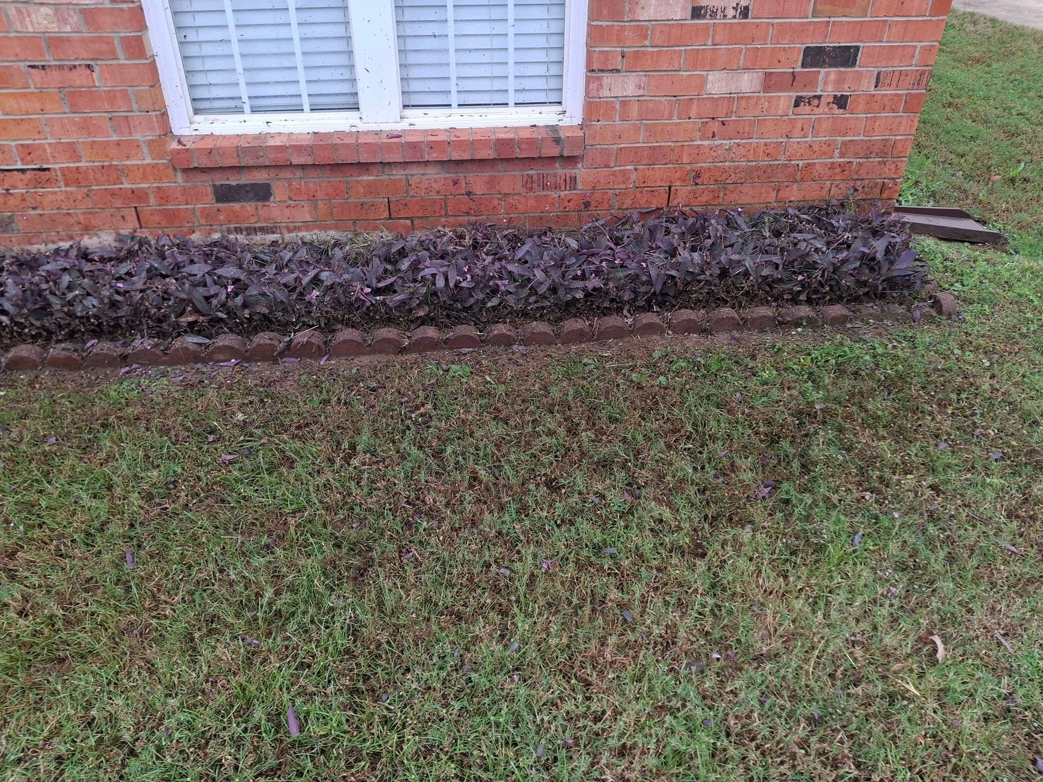  for The DUFF LAWN Service in Houston, Texas