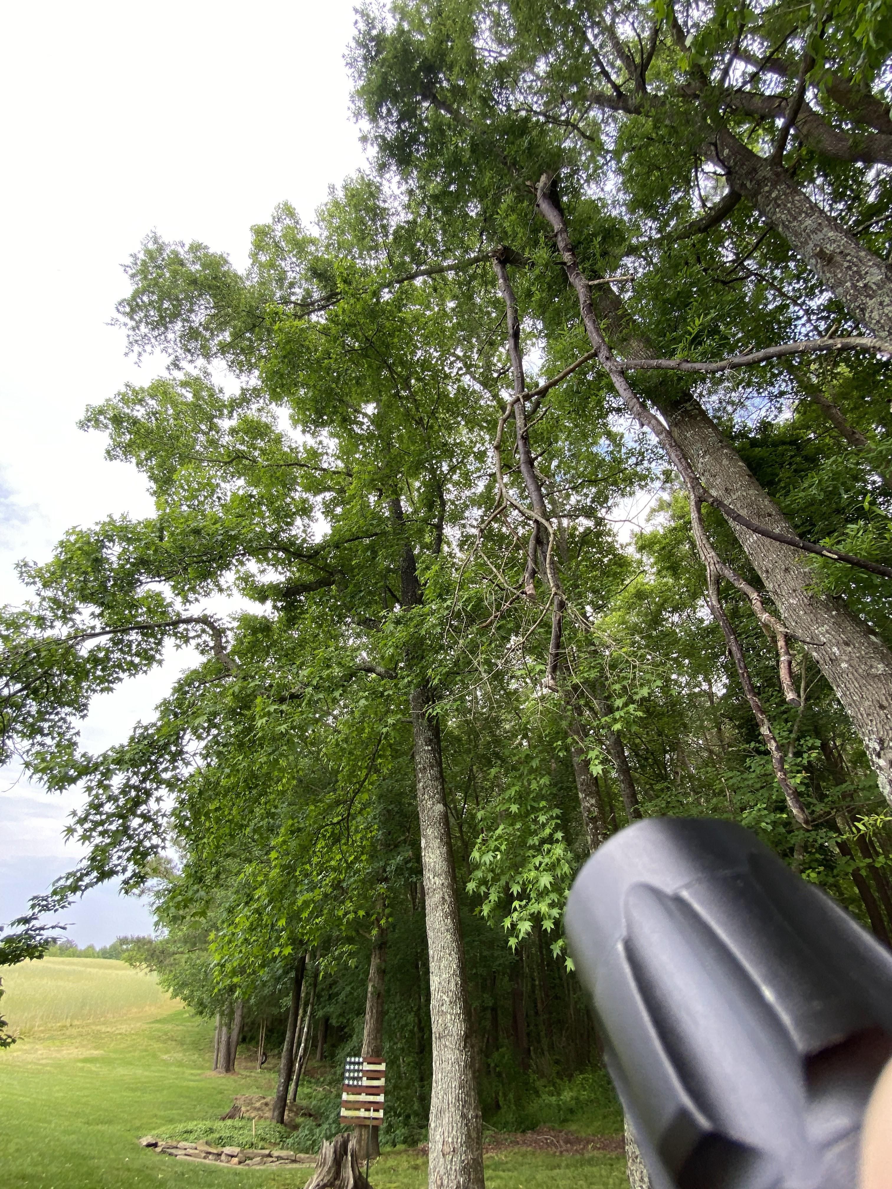  for Ascending Tree Service LLC in Kenbridge, VA