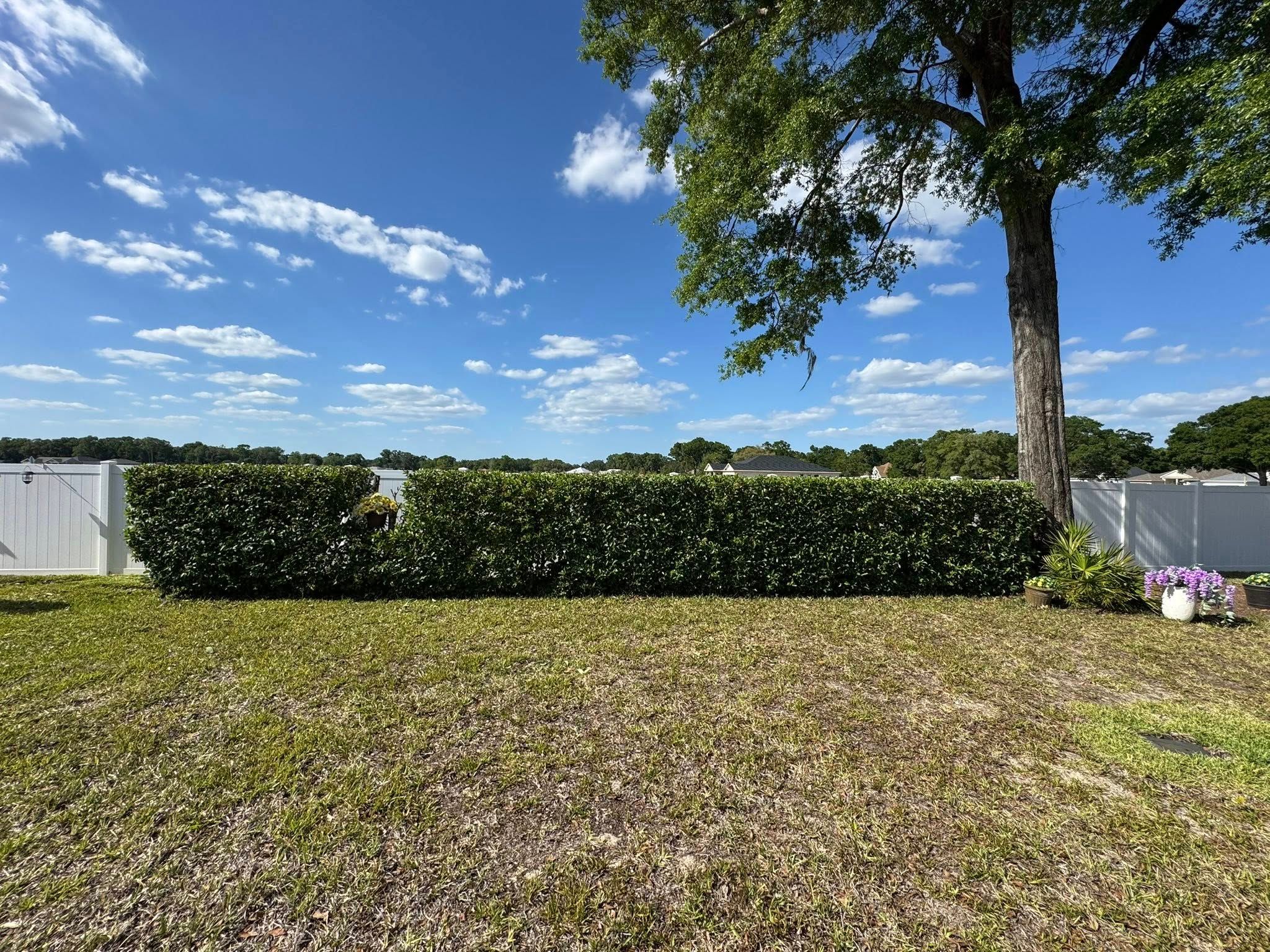 All Photos for Young's Lawn Services LLC in Ocala, FL