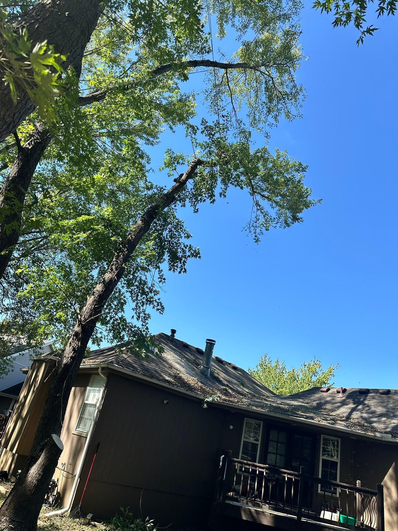 All Photos for Cross Family Tree Service in Kearney, MO