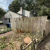  for Tidewater Tree Service in Chesapeake, VA