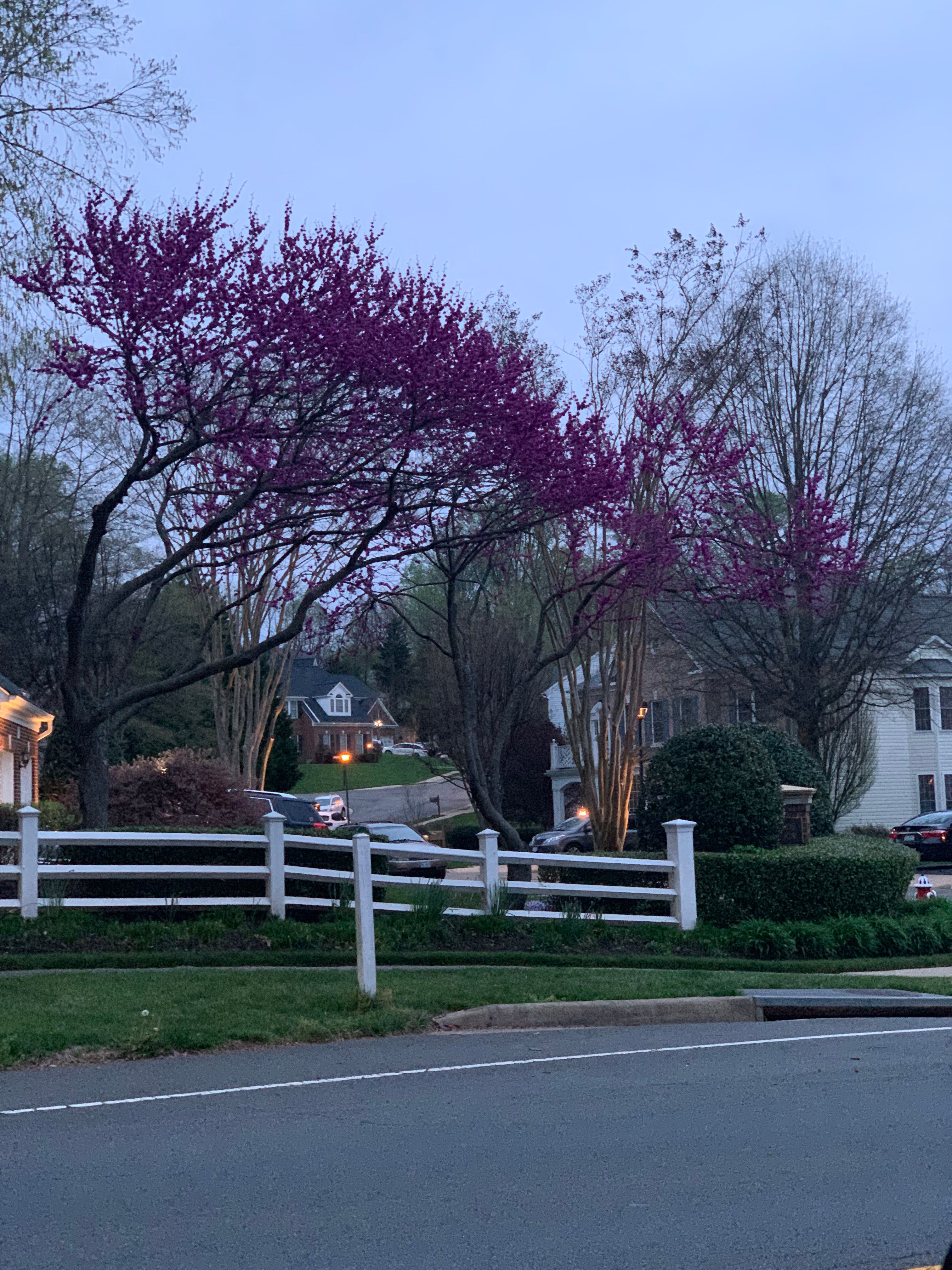  for R Merkli Inc. in Mount Vernon , VA