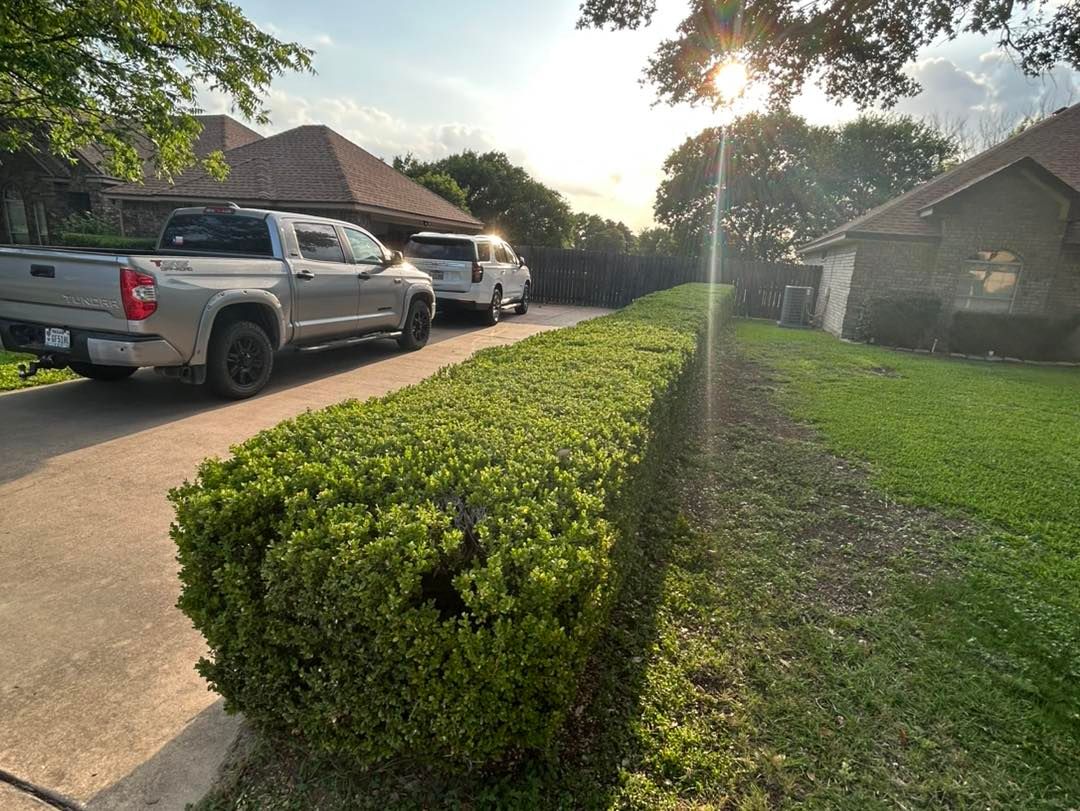  for D’s Lawncare in Killeen, TX