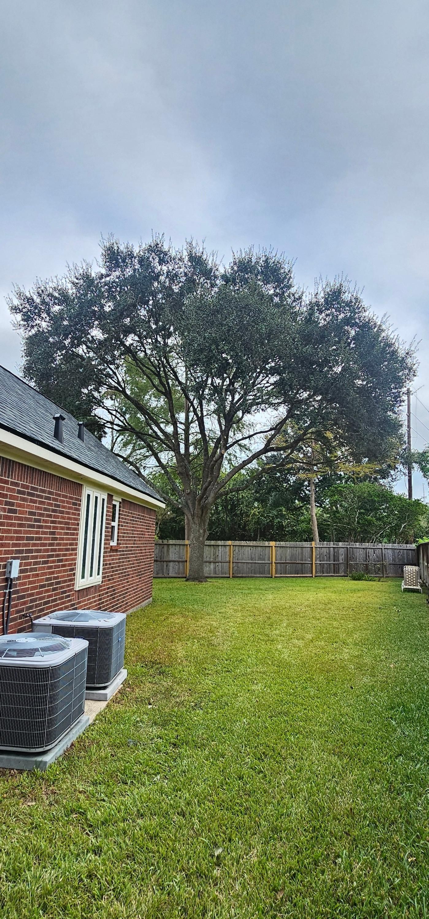  for Servin's Tree Care  in Houston, TX