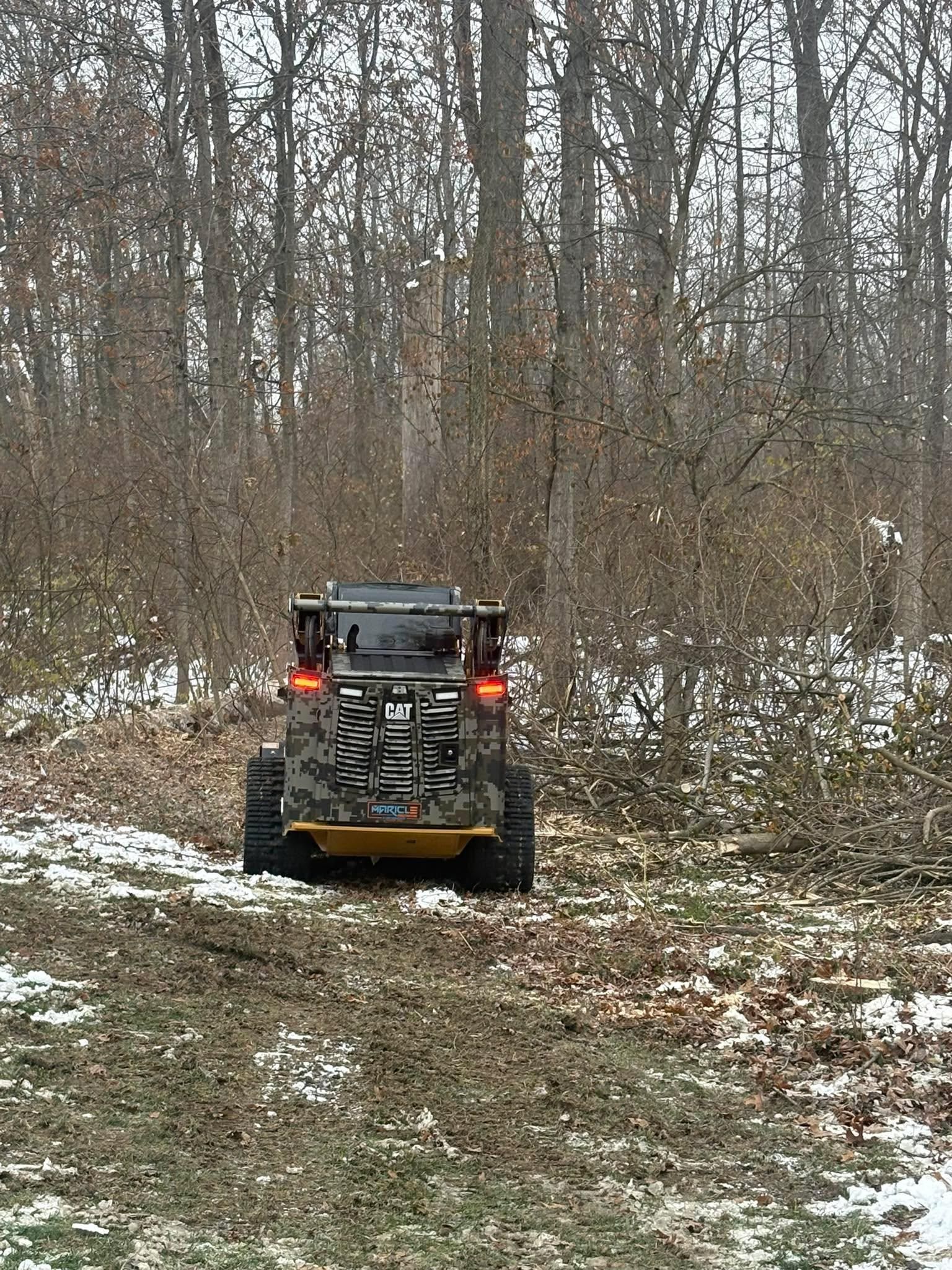  for Dig-It Tree Company in Mason, OH