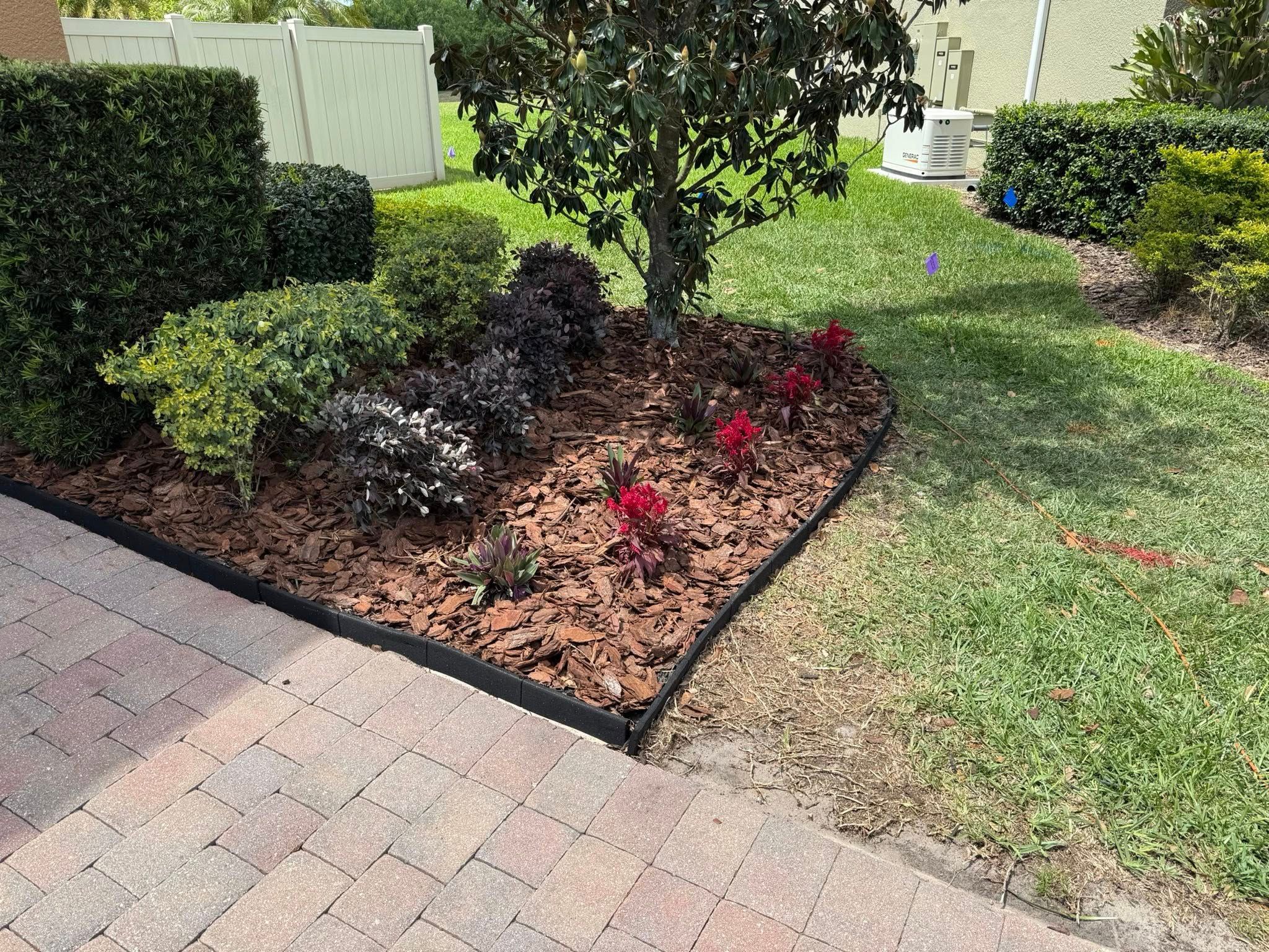  for Amerigrown Tree And Lawn in Apopka, FL