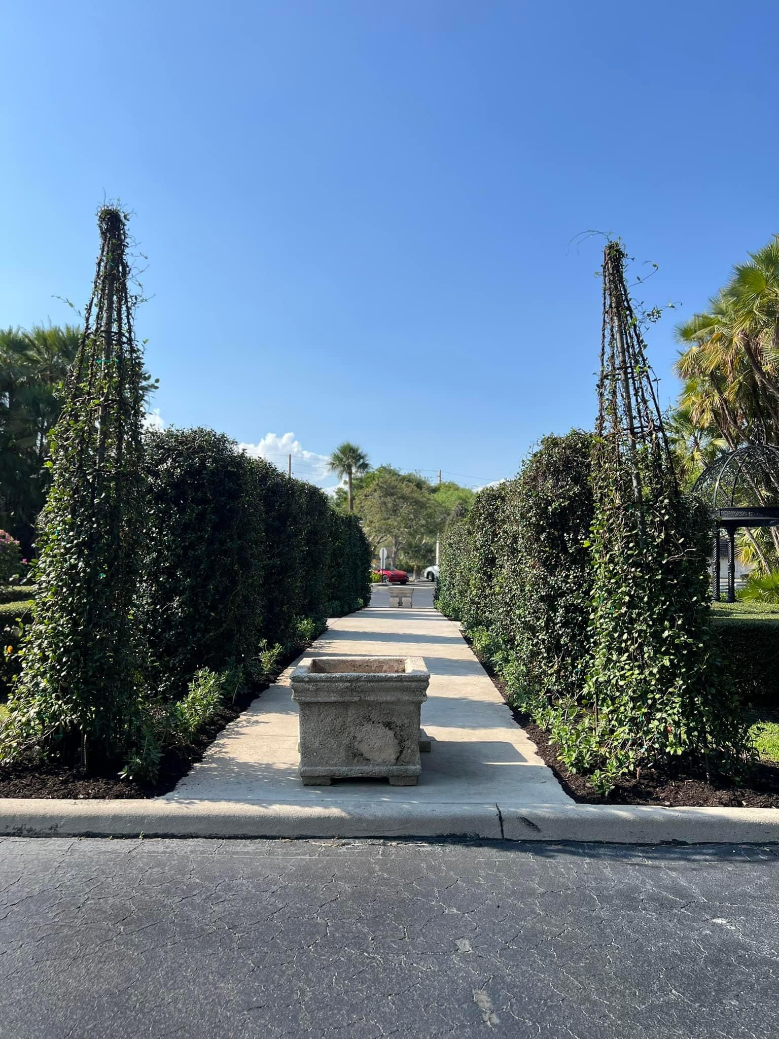 Tree Trimming and Removal for Rey Landscaping & Lawn service LLC in West Palm Beach,  FL